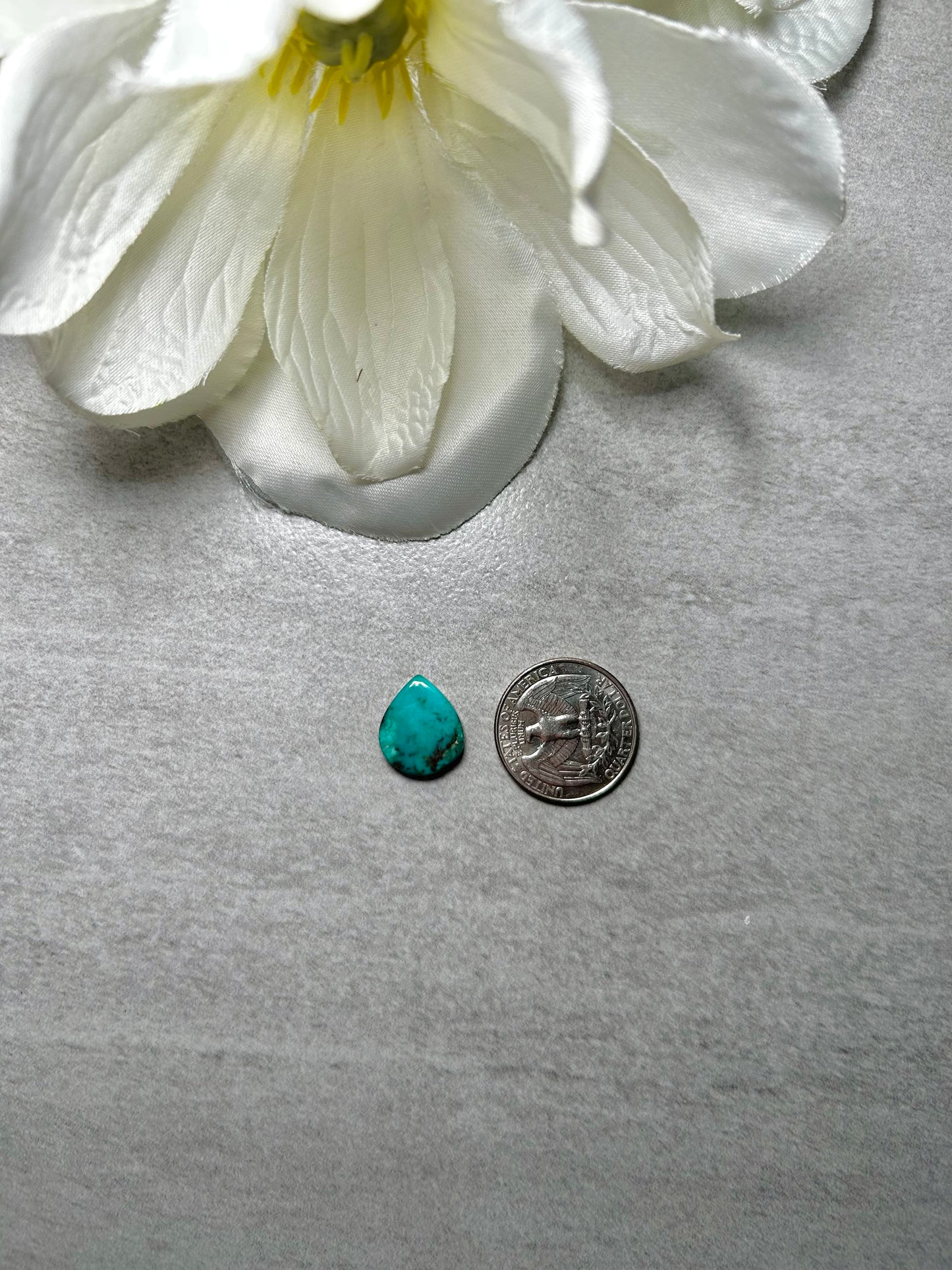 Kingman Turquoise Cab