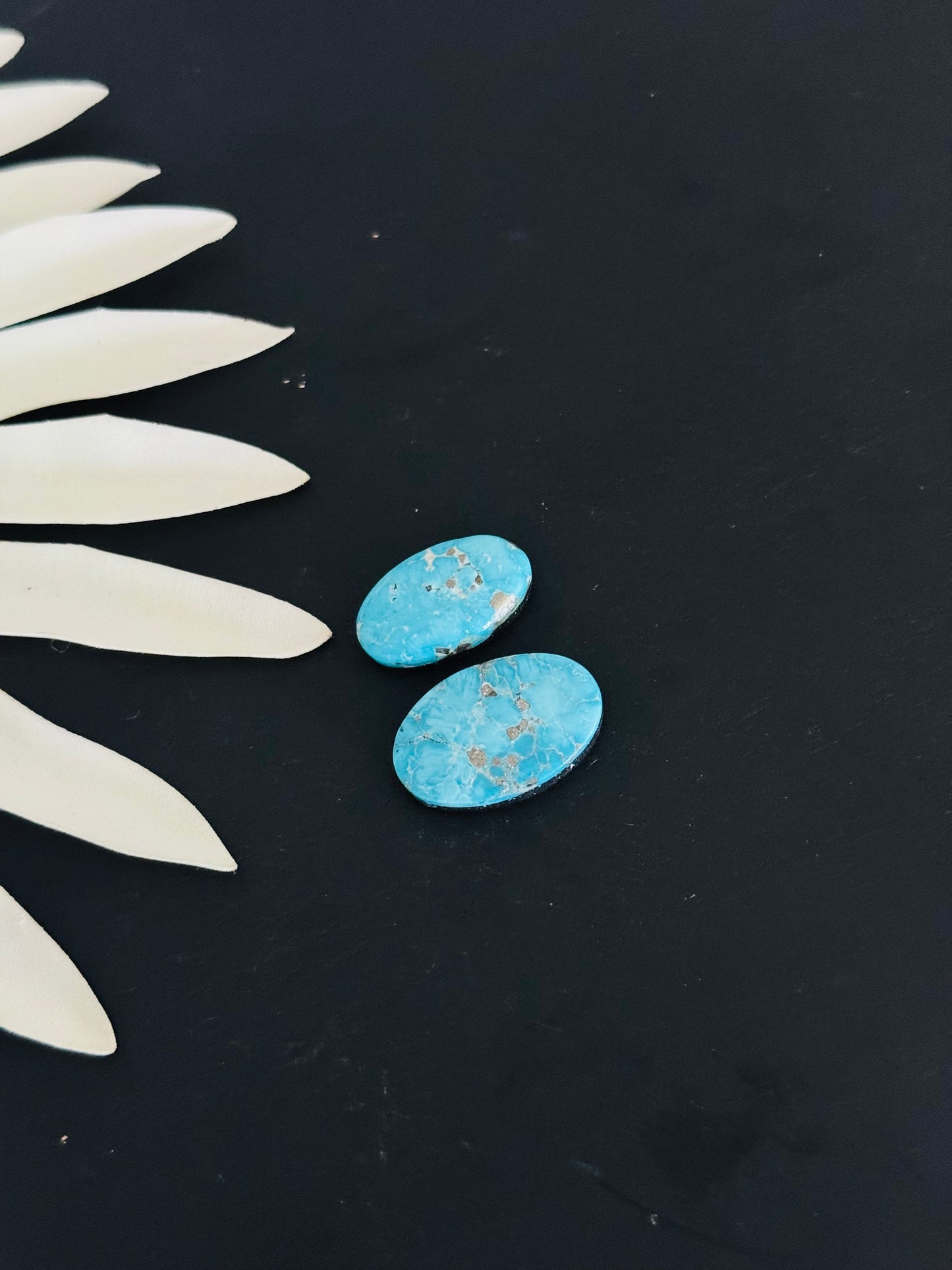 Blue Bird Turquoise Cabs
