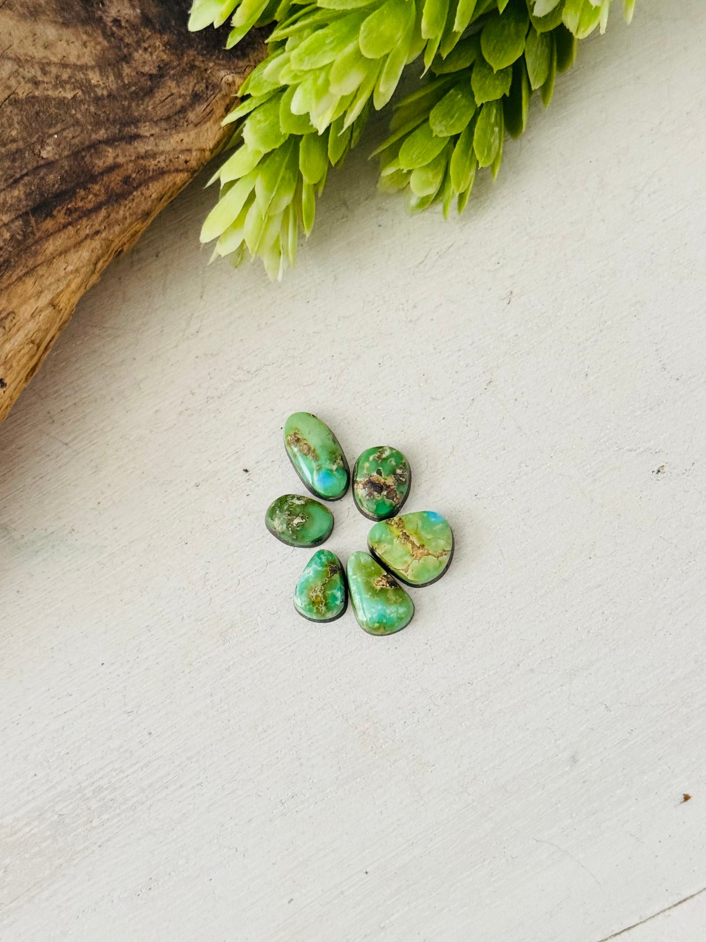 Natural Sonoran Gold Turquoise Cabs