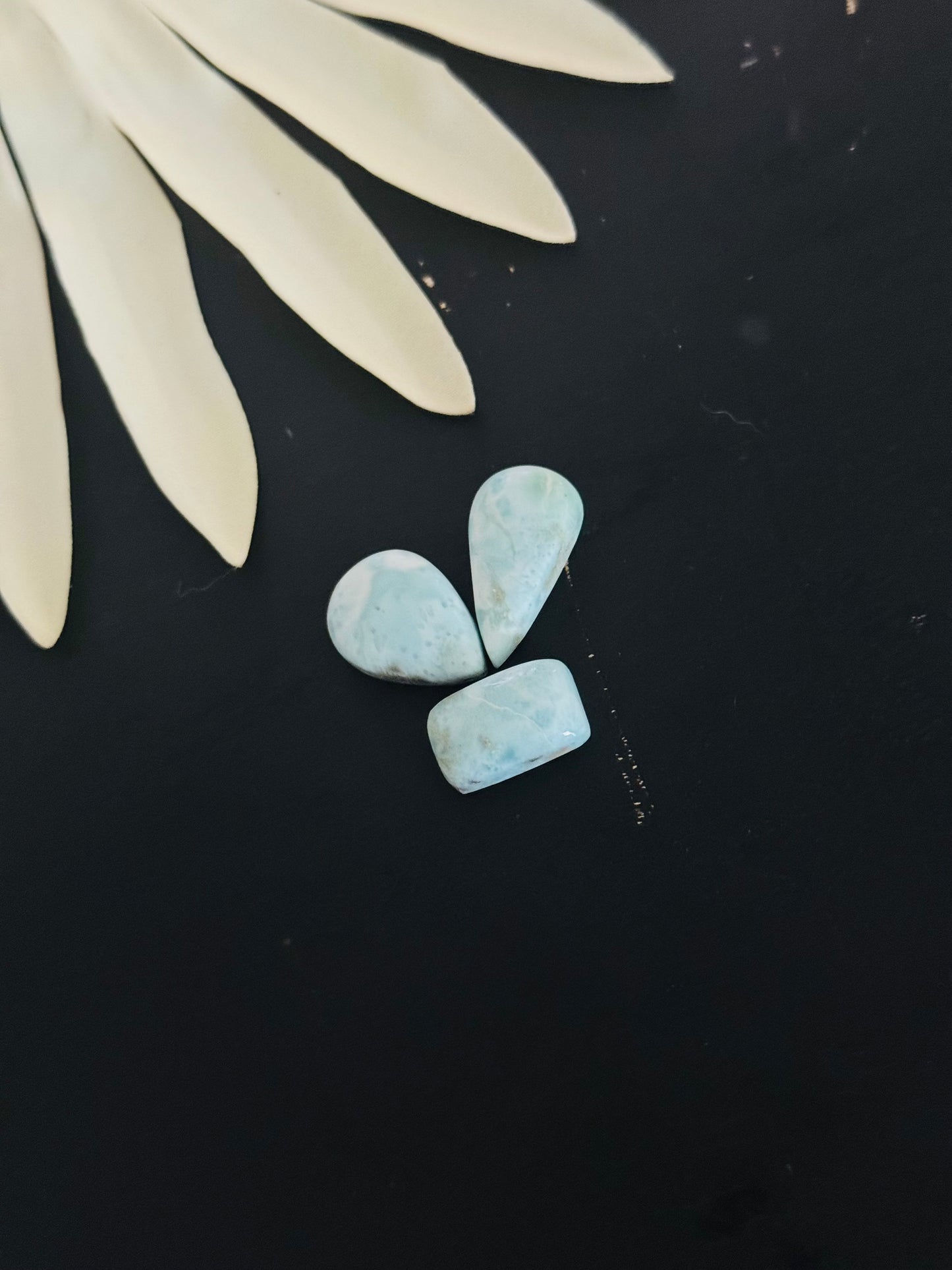 Larimar Cabs