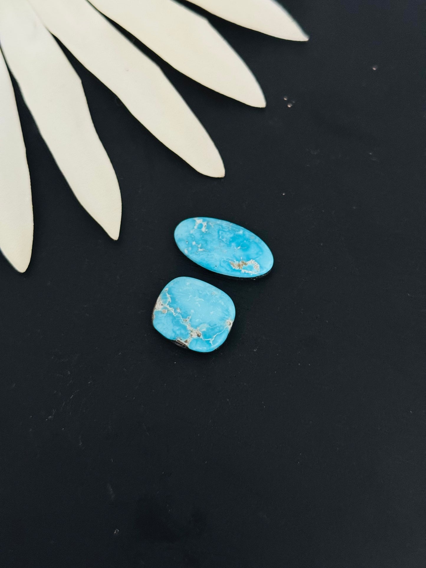 Blue Bird Turquoise Cabs