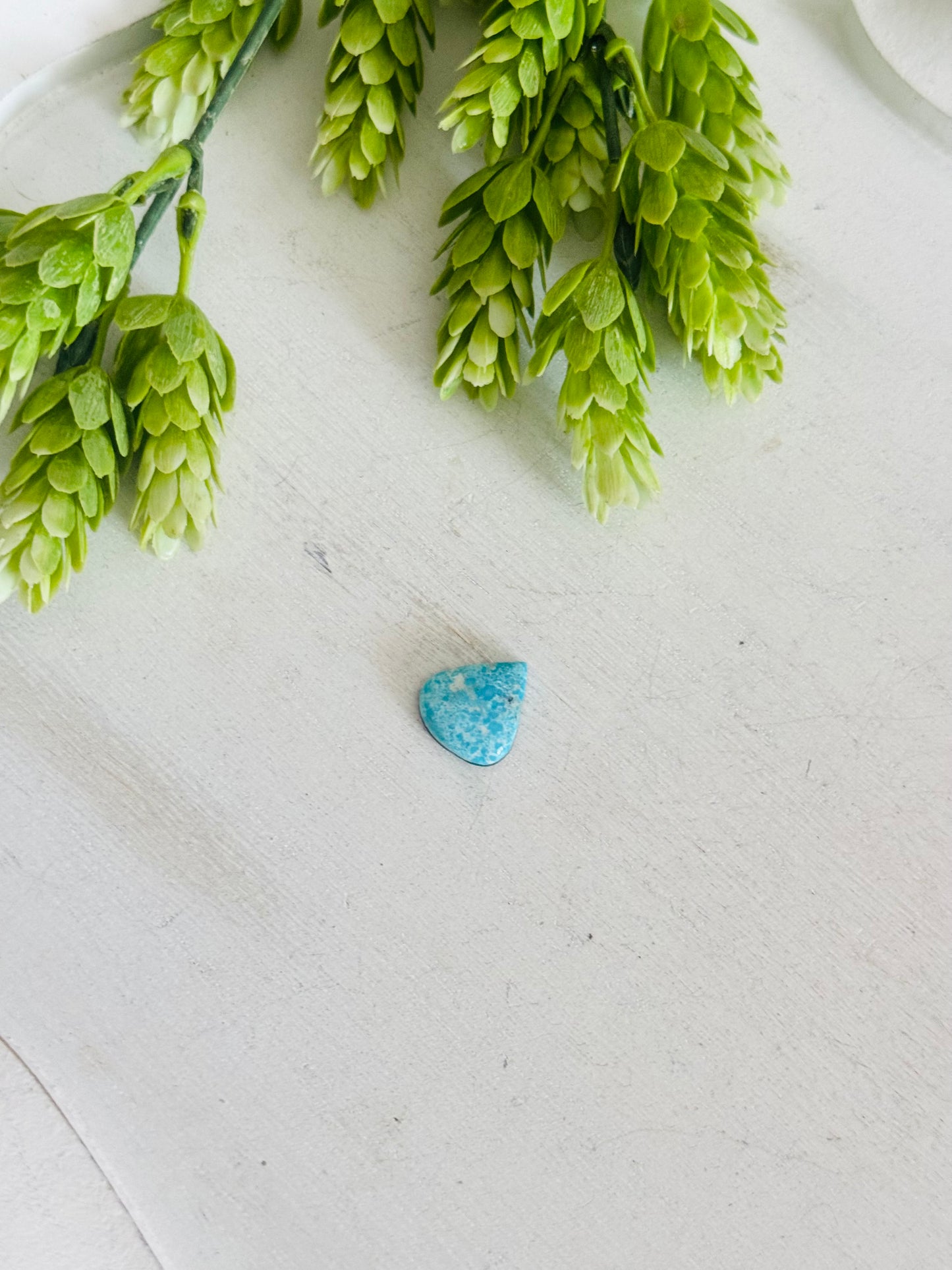 Blue Bird Turquoise Cab