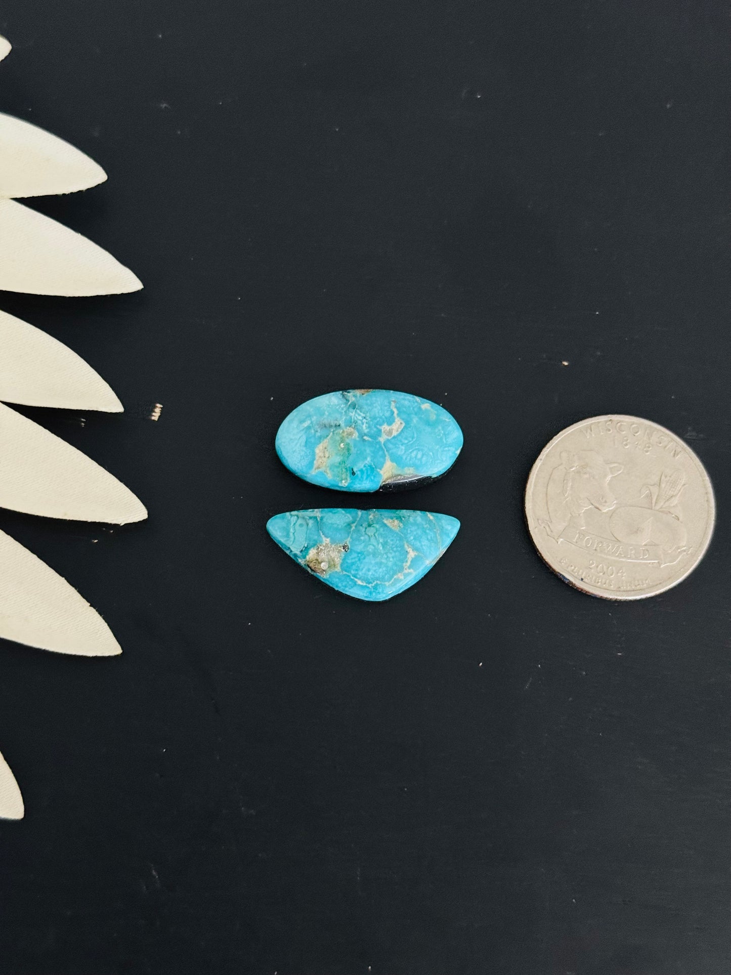 Blue Bird Turquoise Cabs