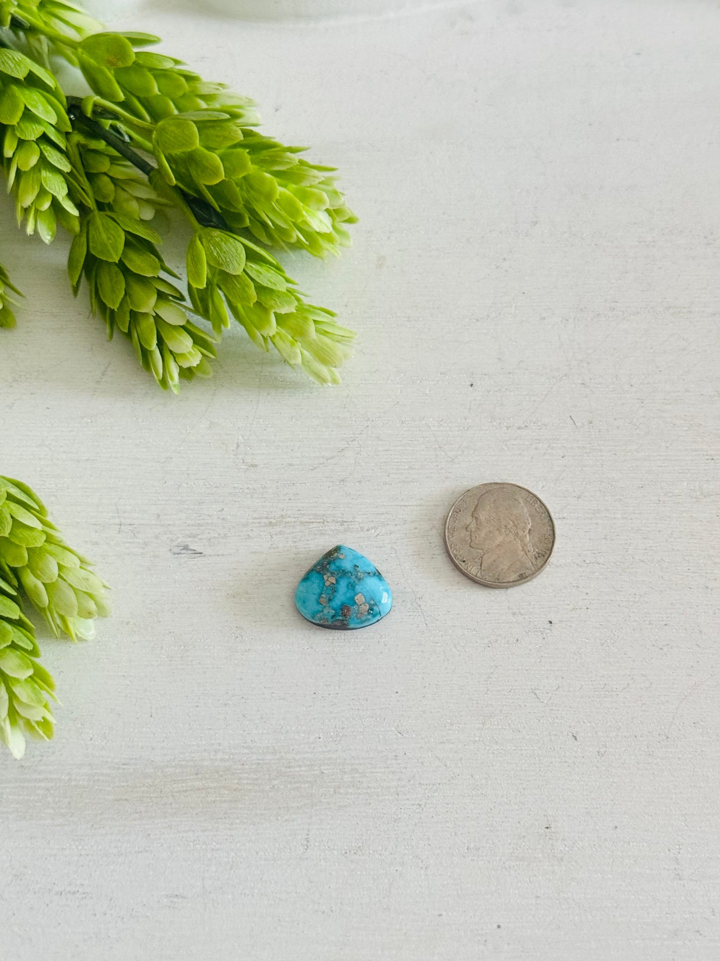 Blue Bird Turquoise Cab