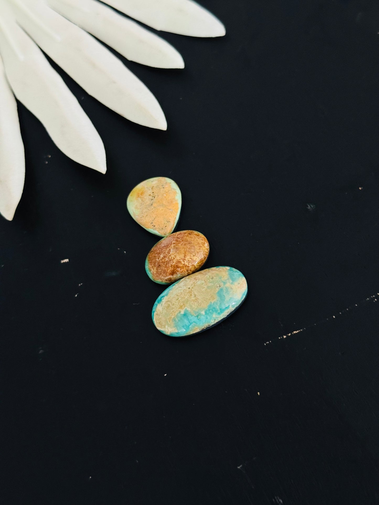 Evans Turquoise Cabs