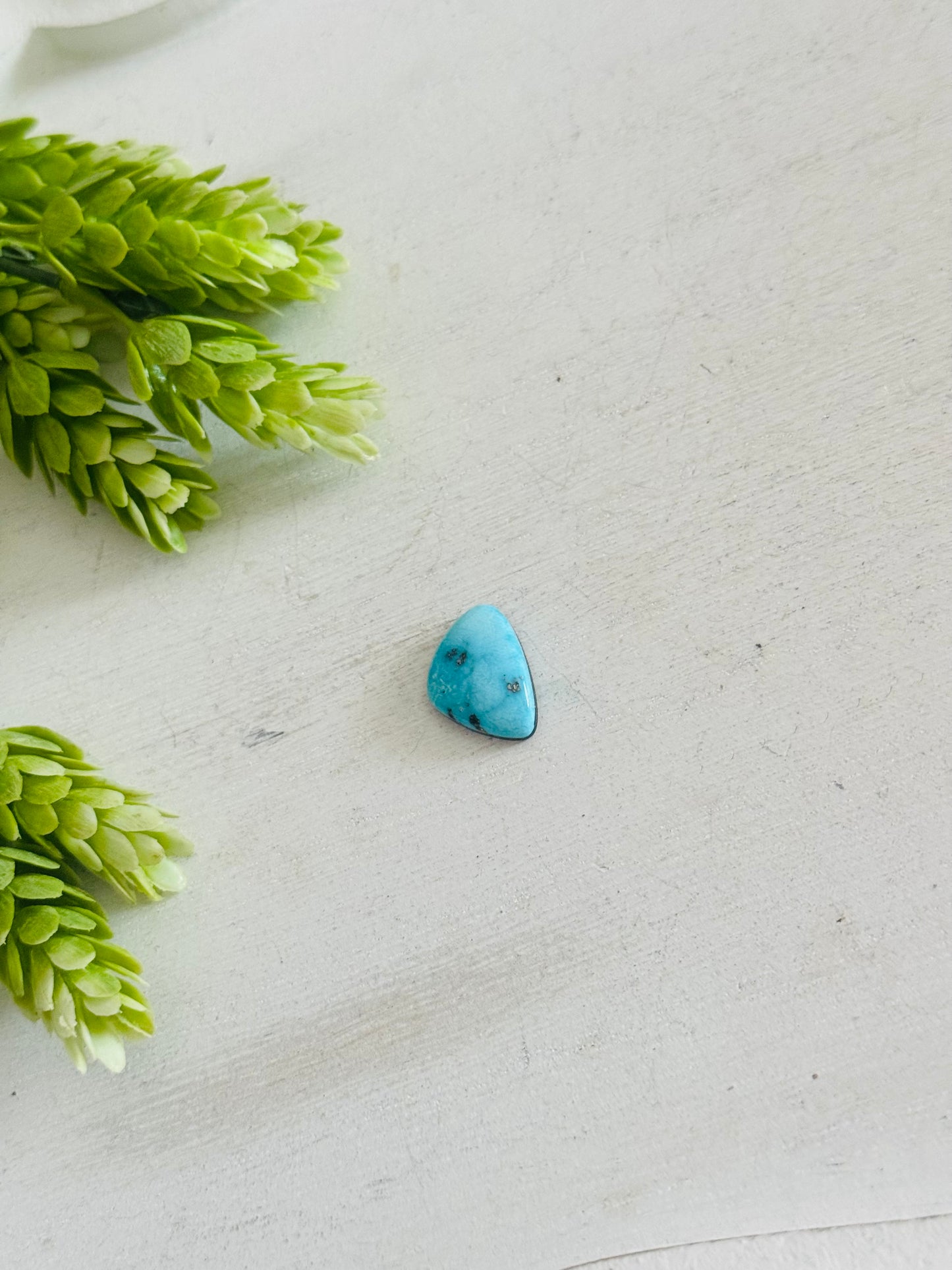 Blue Bird Turquoise Cab