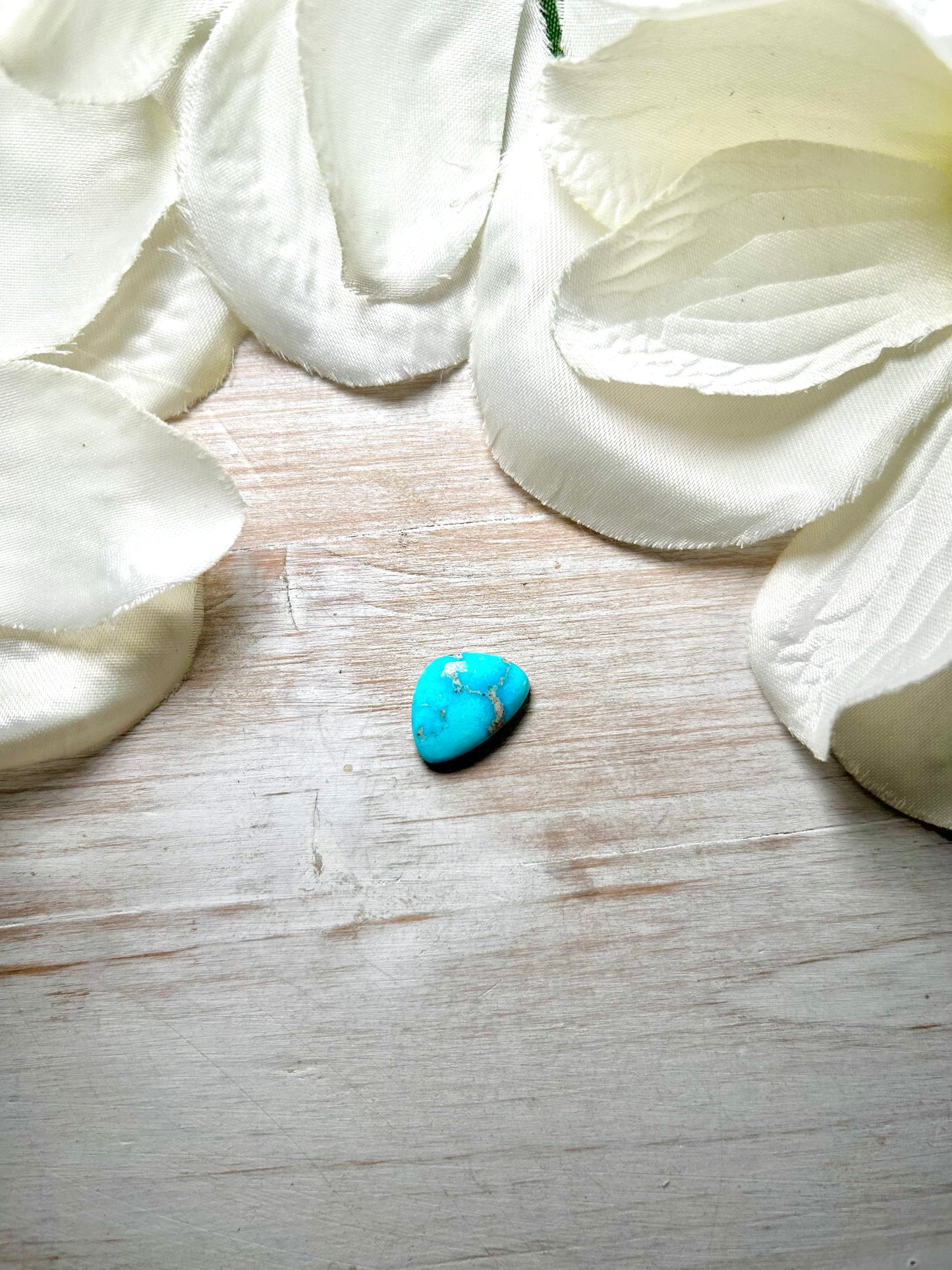 Blue Ridge Turquoise Cab