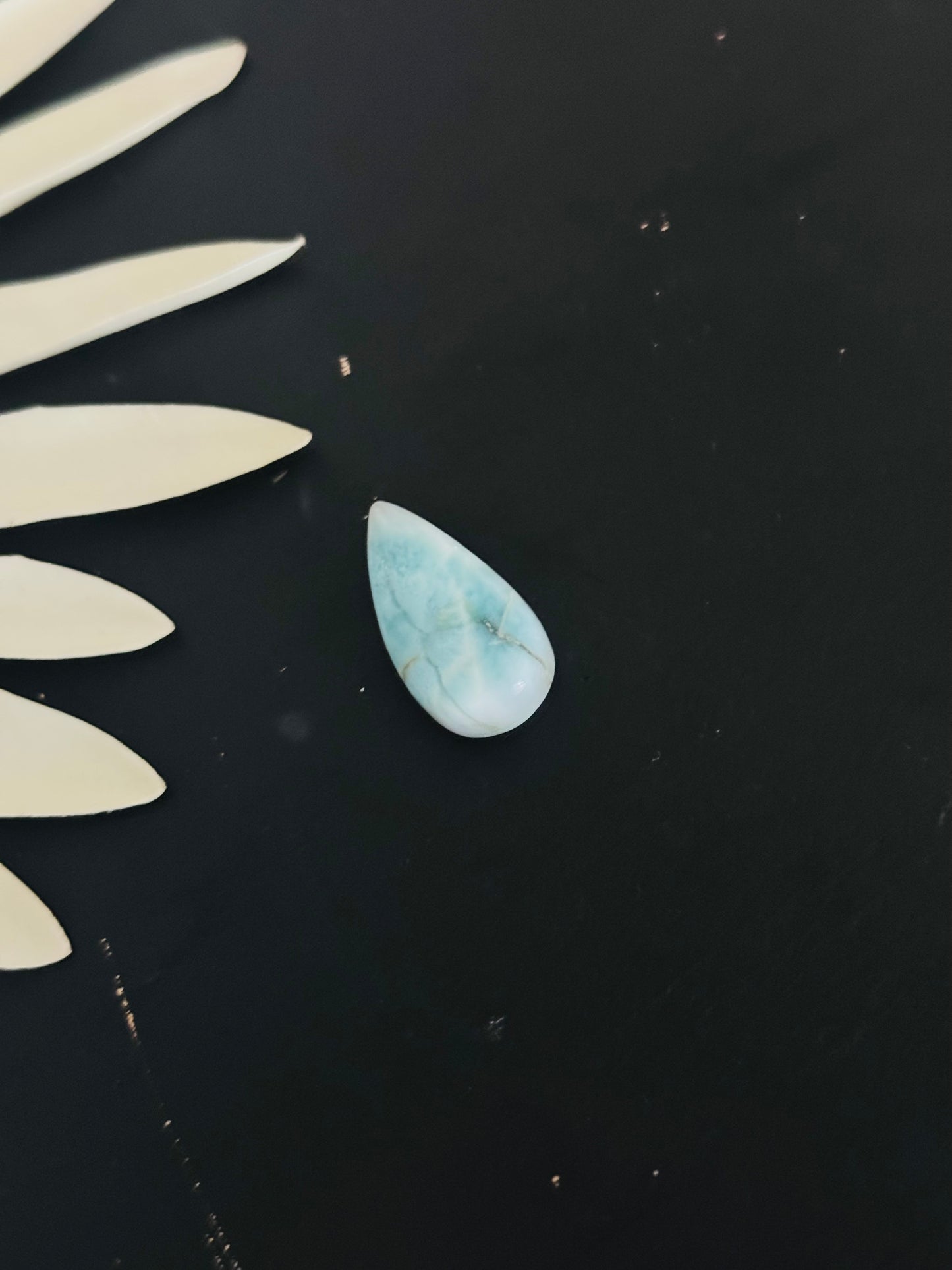 Larimar Cabs