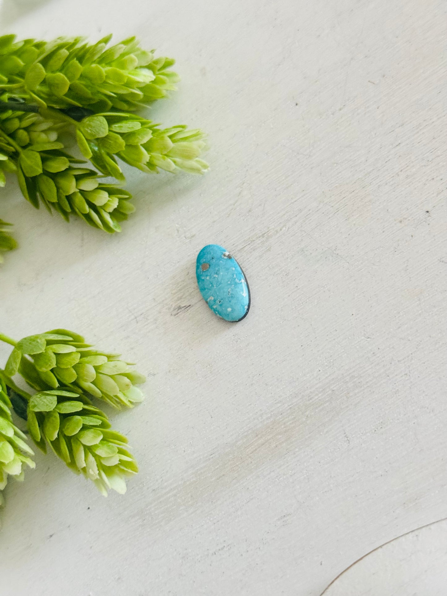Blue Bird Turquoise Cab