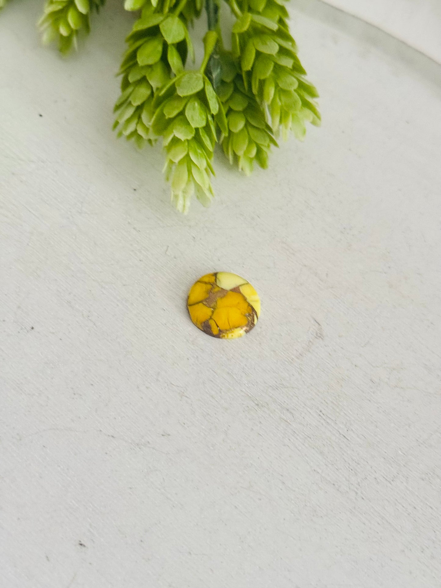 Honey Dahlia Cab