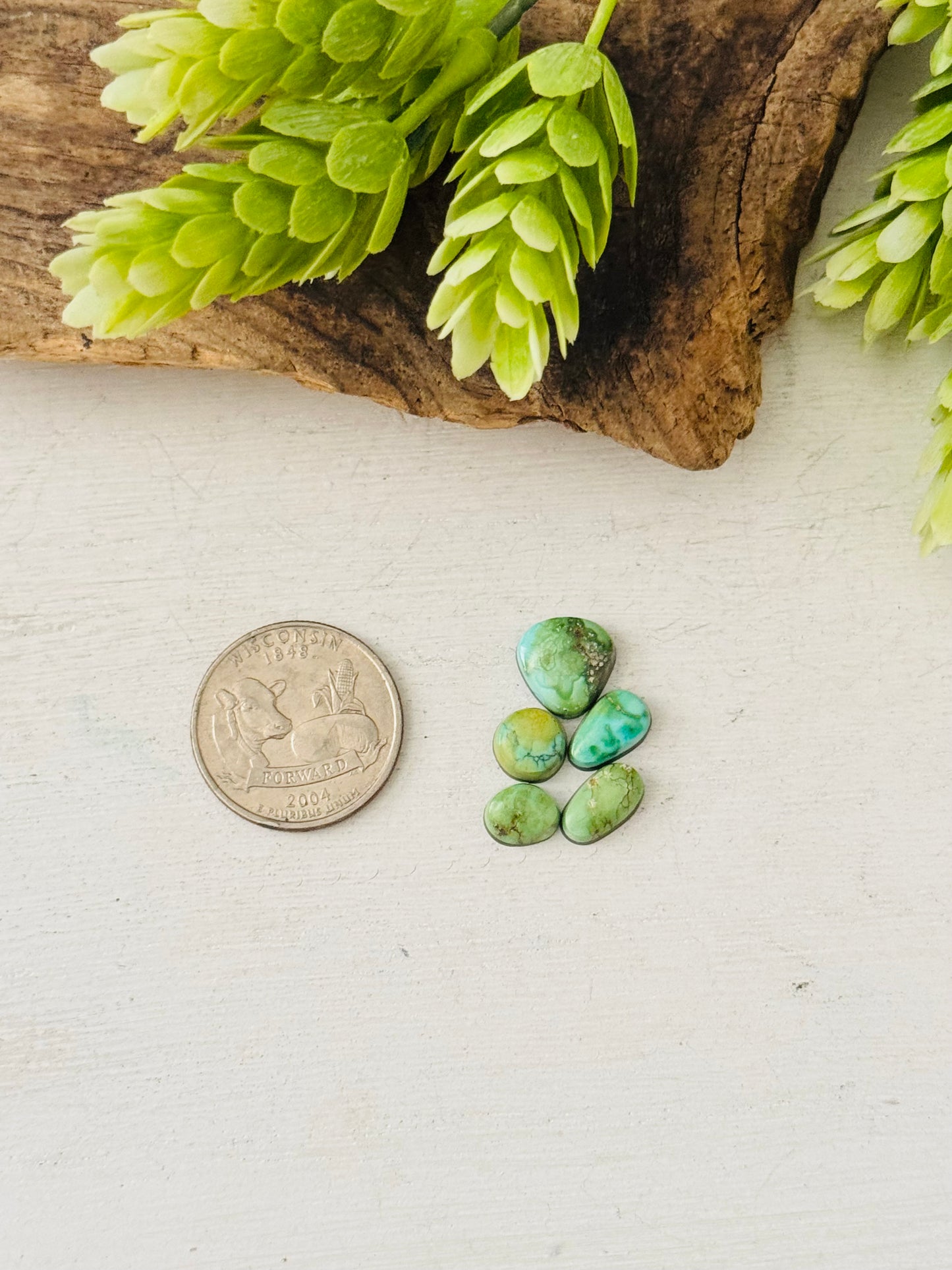 Natural Sonoran Gold Turquoise Cabs