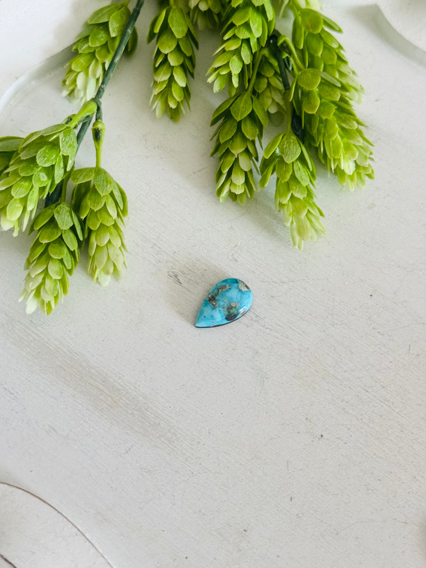 Blue Bird Turquoise Cab