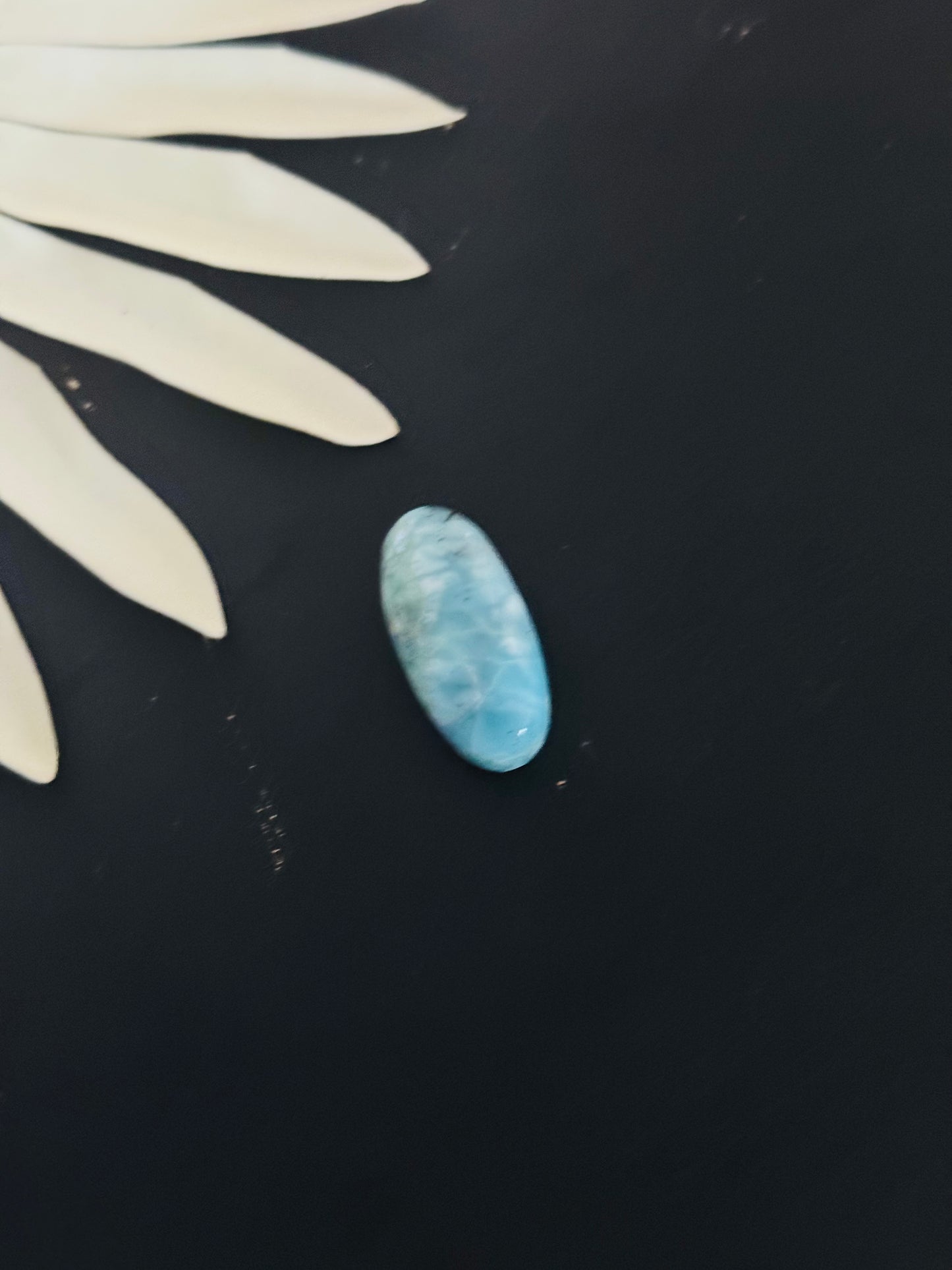 Larimar Cabs