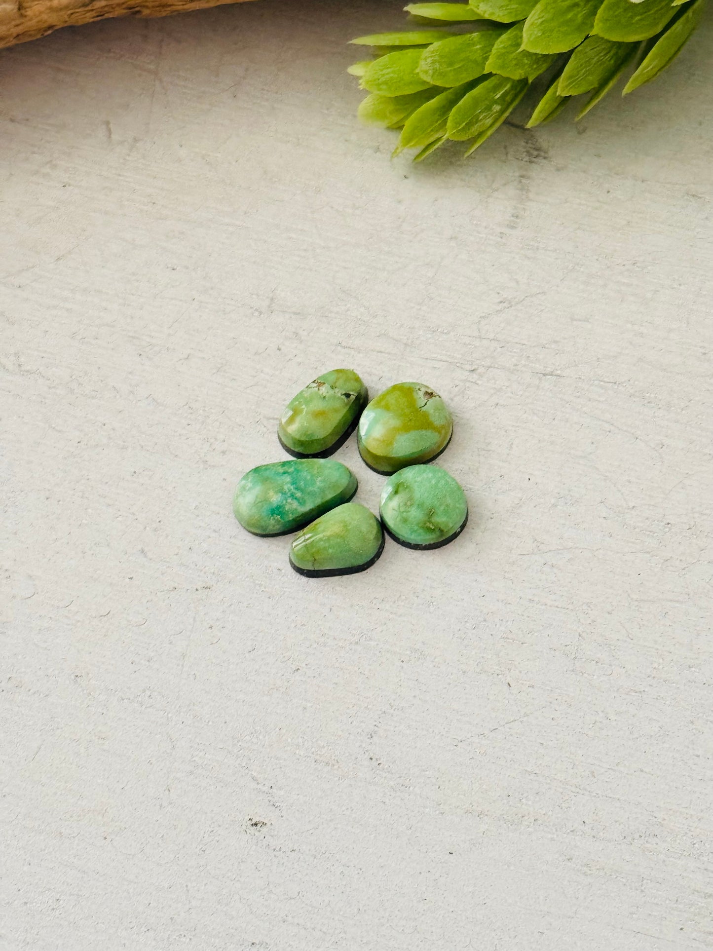Natural Sonoran Gold Turquoise Cabs