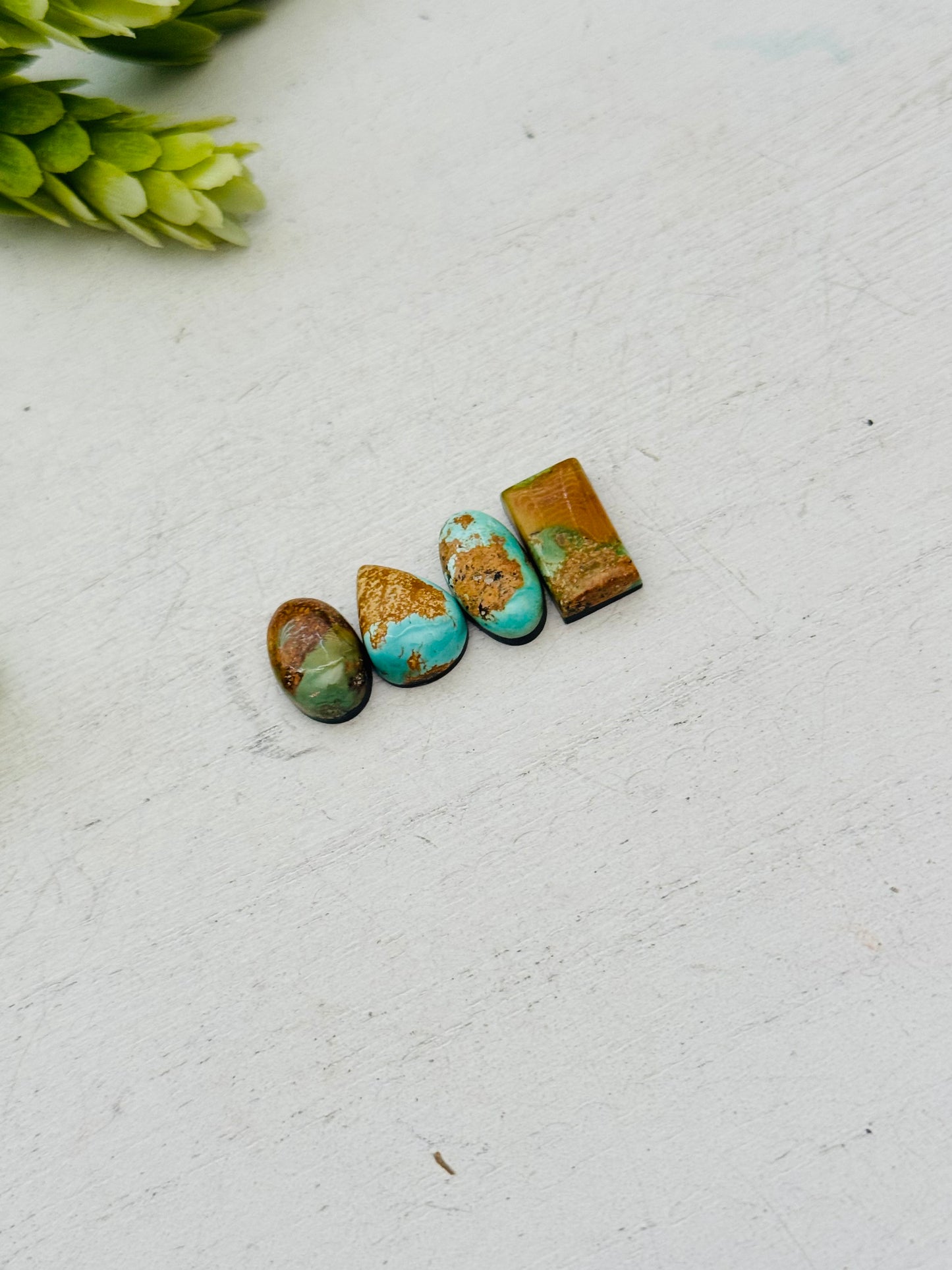 Evans Turquoise Cabs