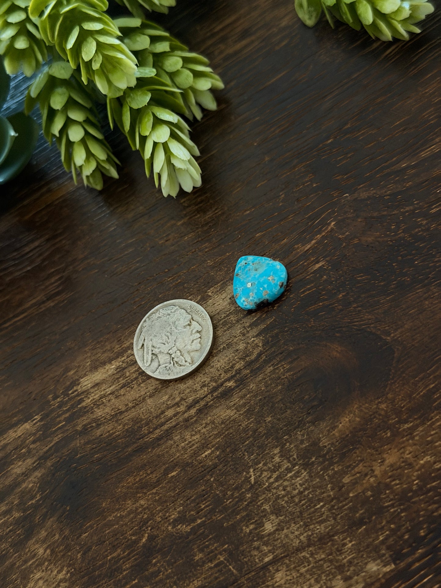 Blue Bird Turquoise Cab