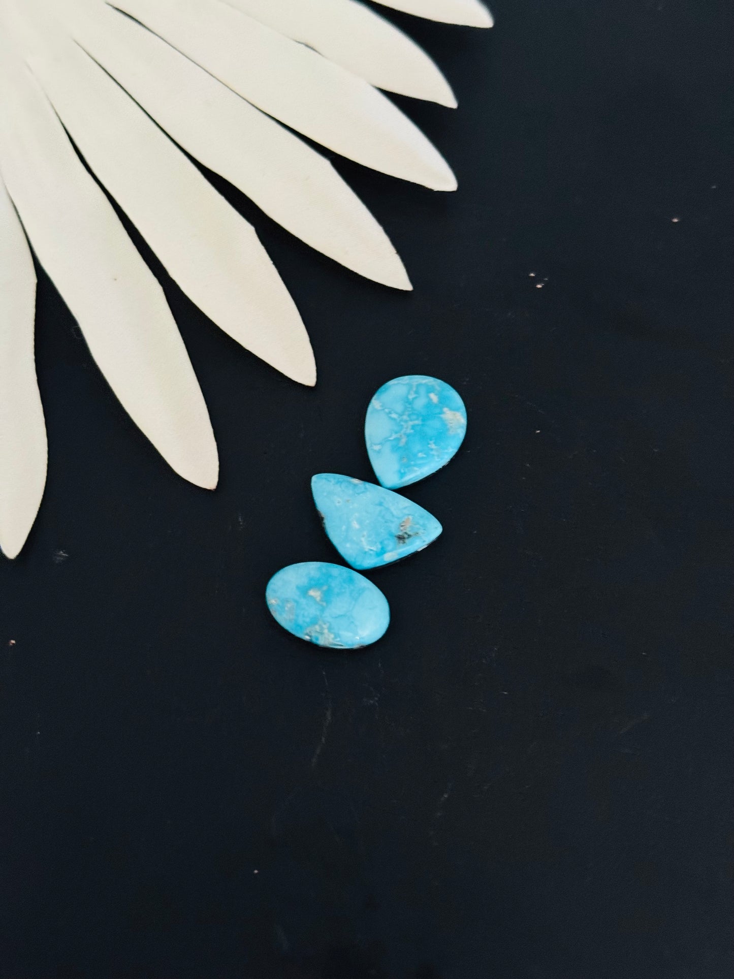 Blue Bird Turquoise Cabs