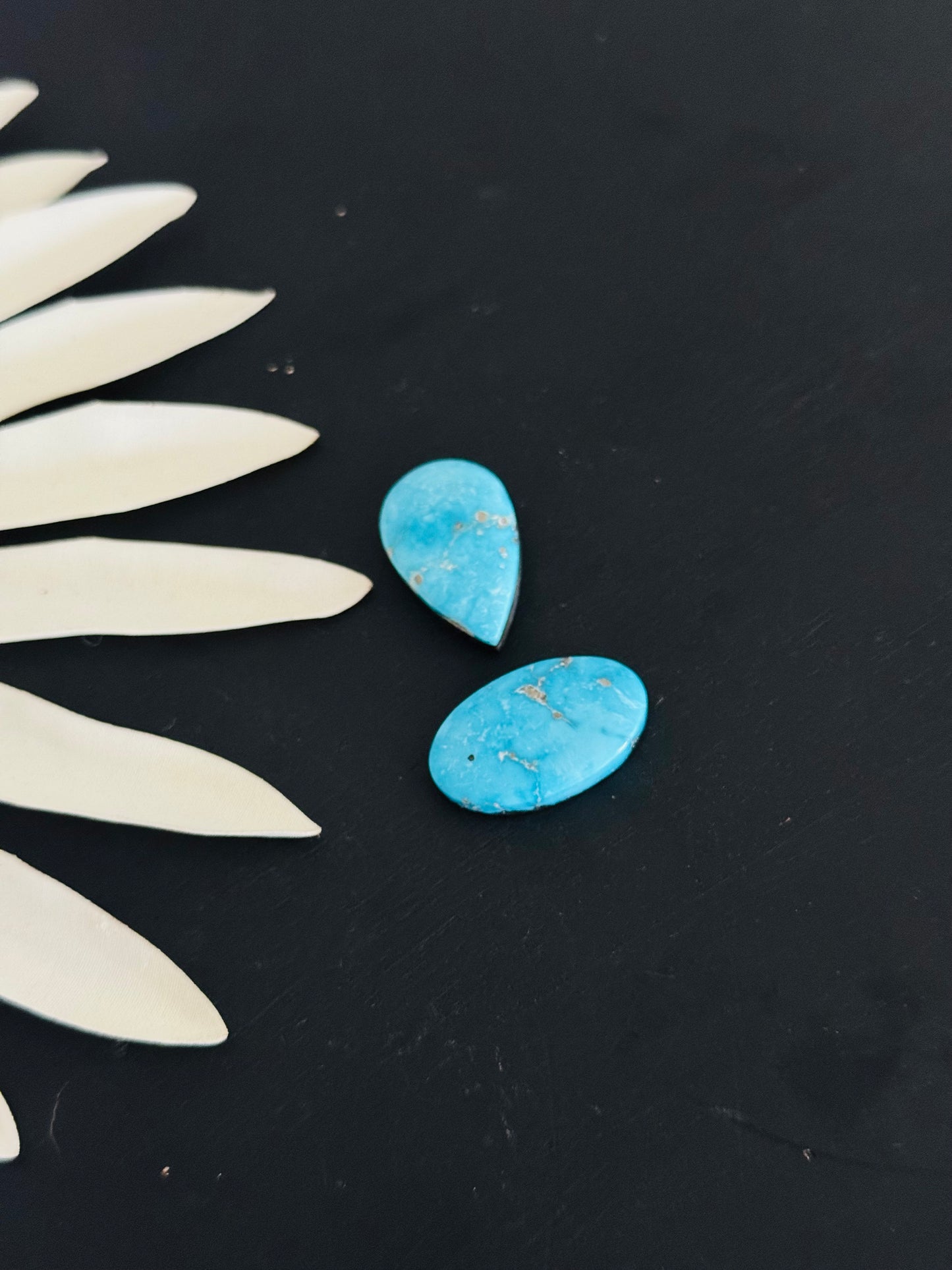 Blue Bird Turquoise Cabs