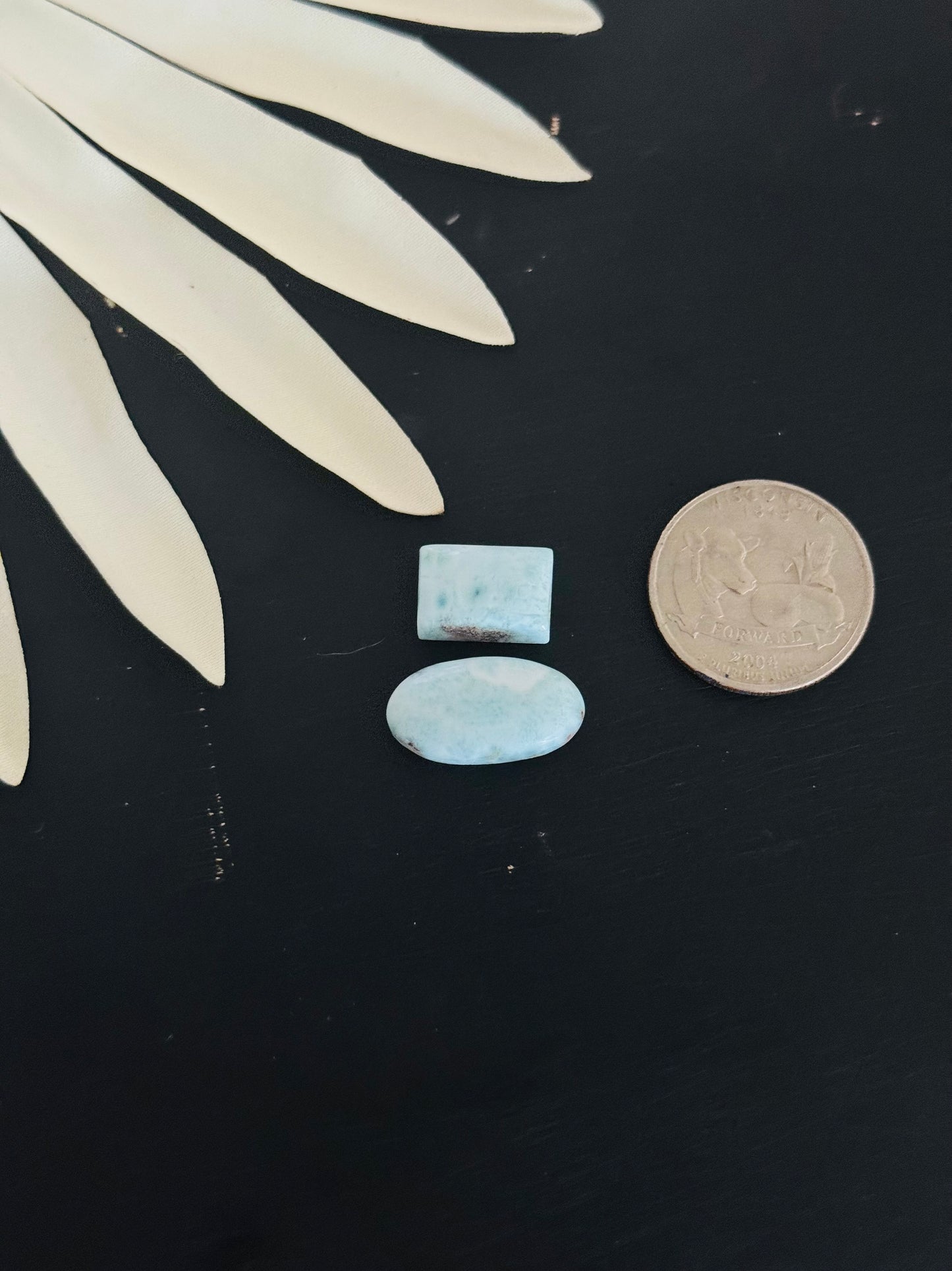 Larimar Cabs