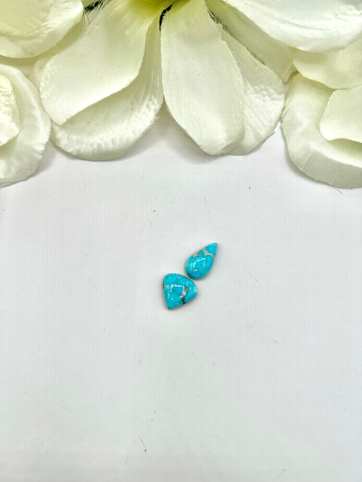 Blue Ridge Turquoise Cabs
