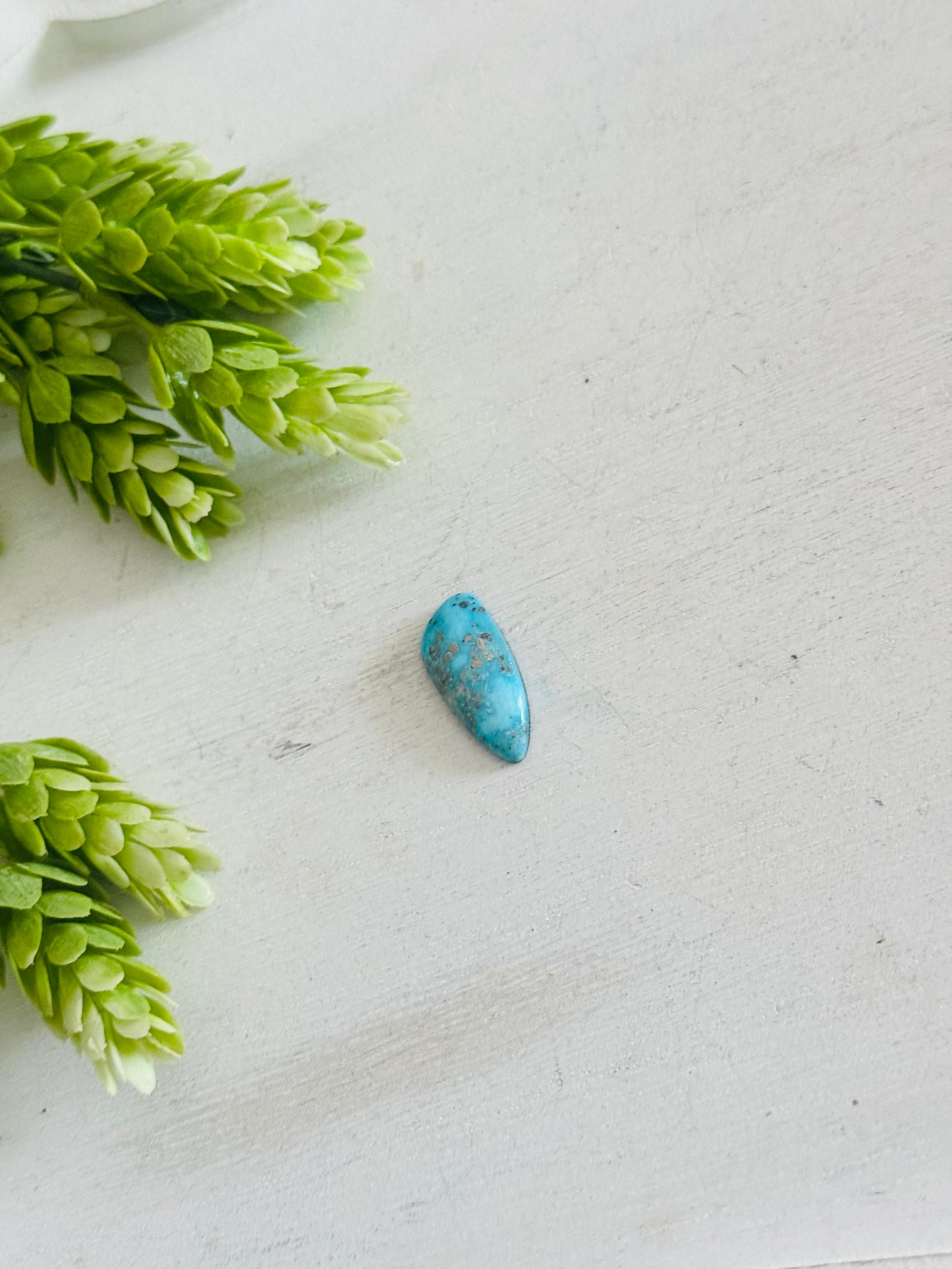 Blue Bird Turquoise Cab