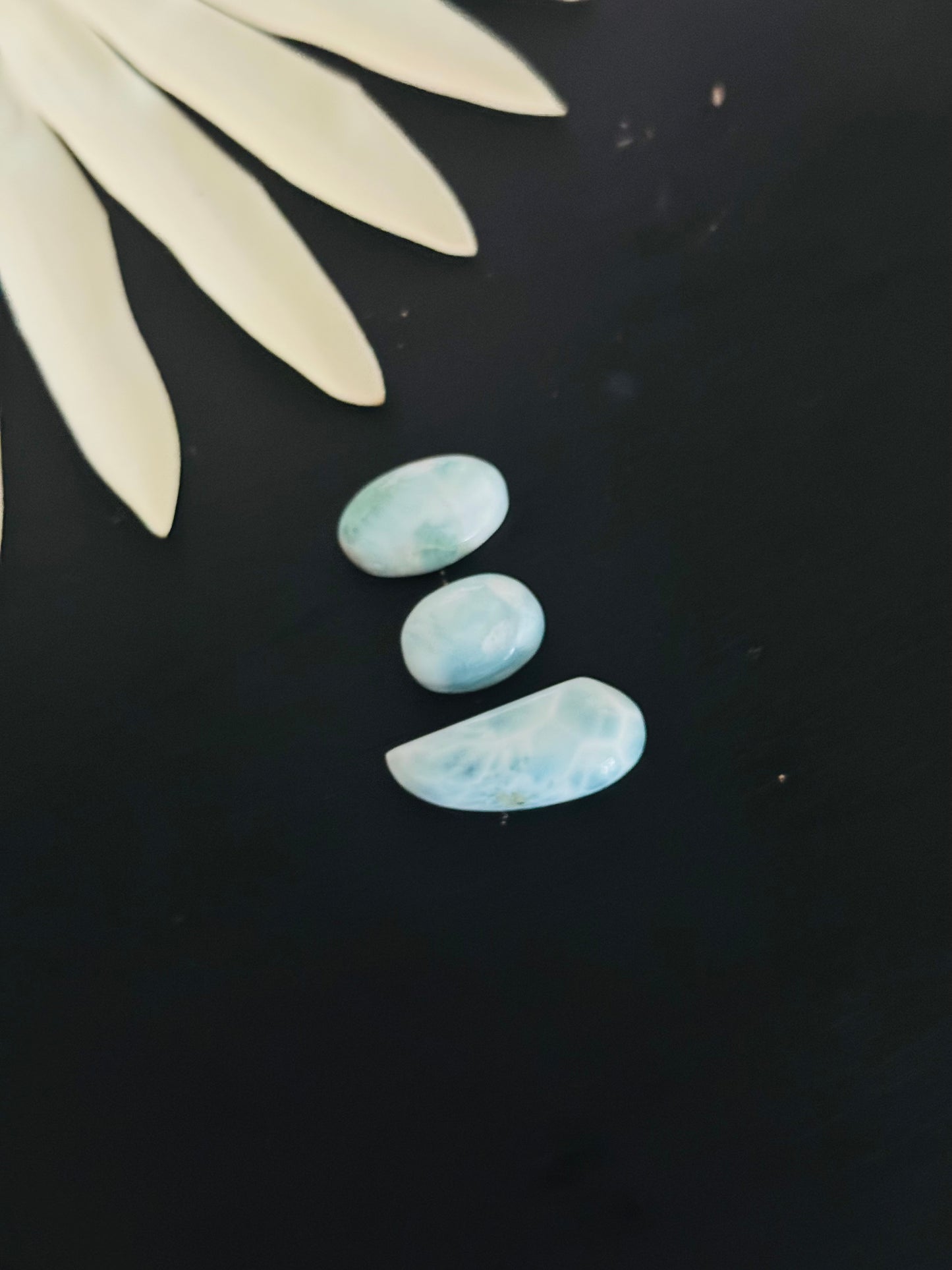 Larimar Cabs