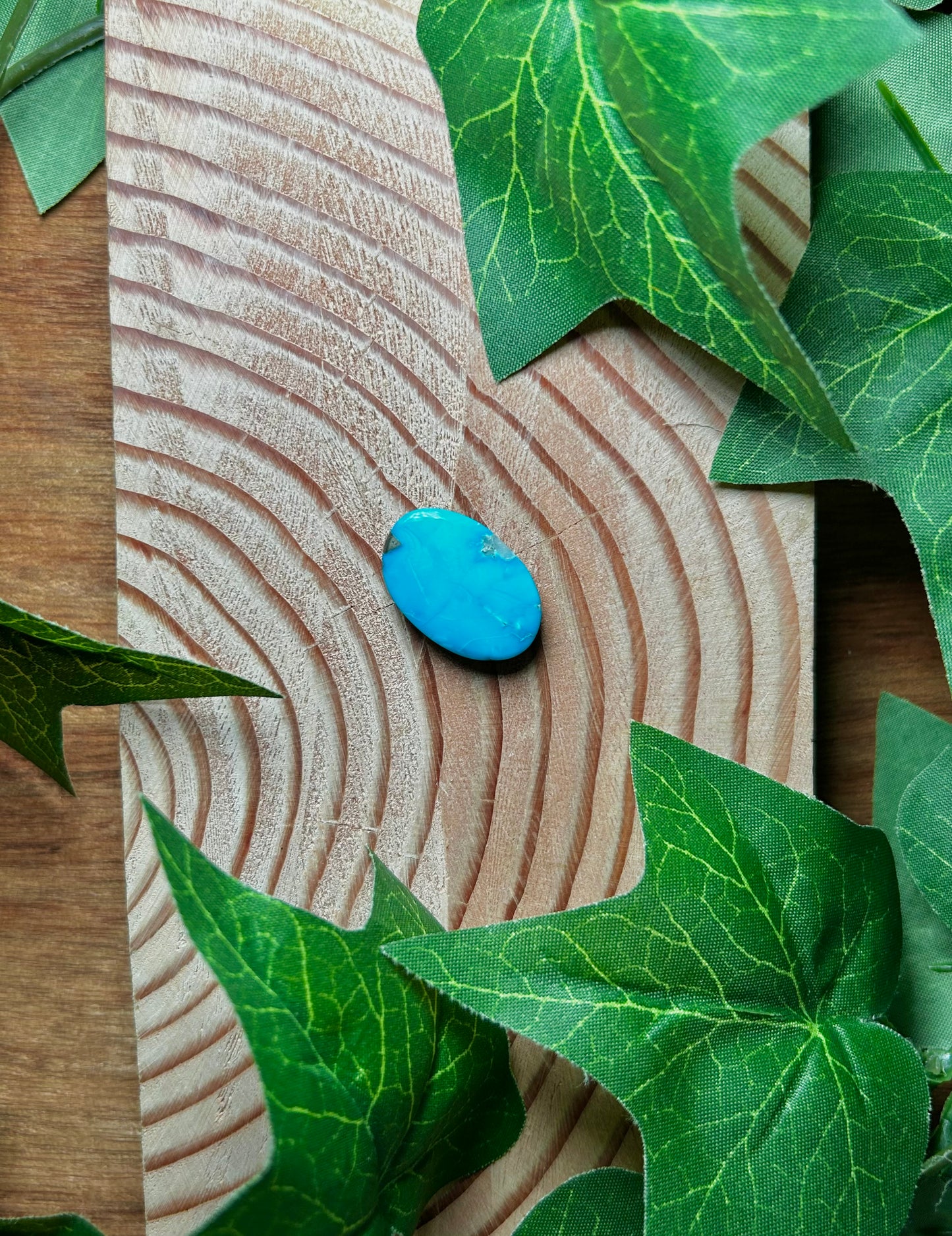 Blue Bird Turquoise Cabs