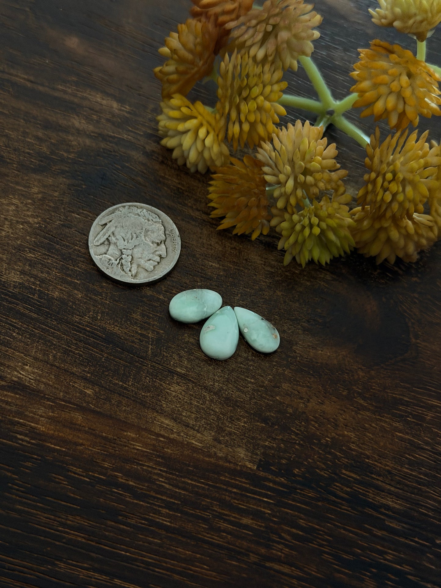 Paloma Variscite Cabs