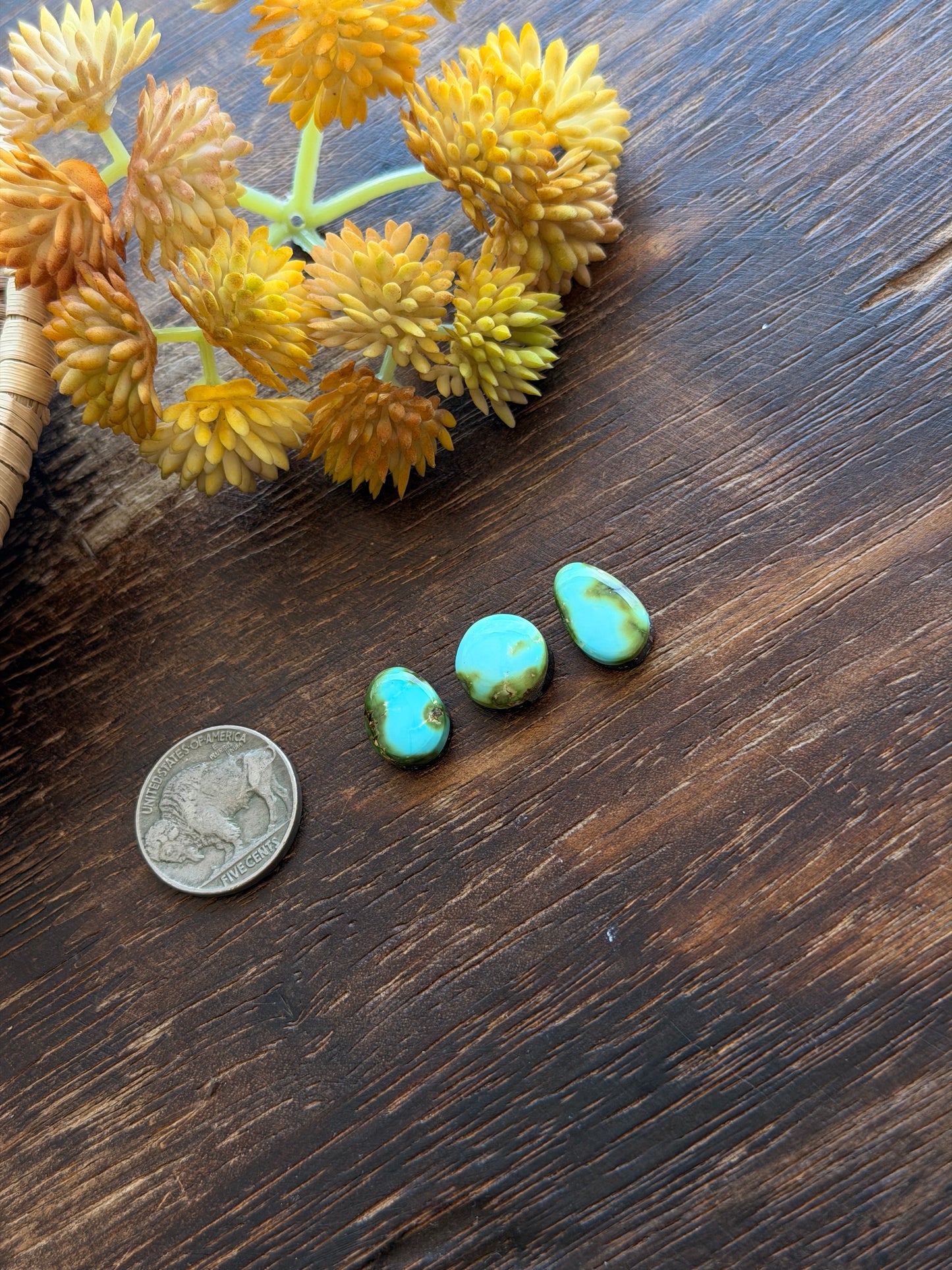 Sonoran Mountain Turquoise Cabs