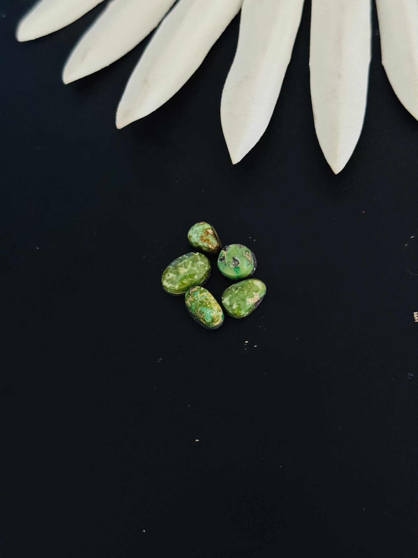 Natural Sonoran Gold Turquoise Cabs
