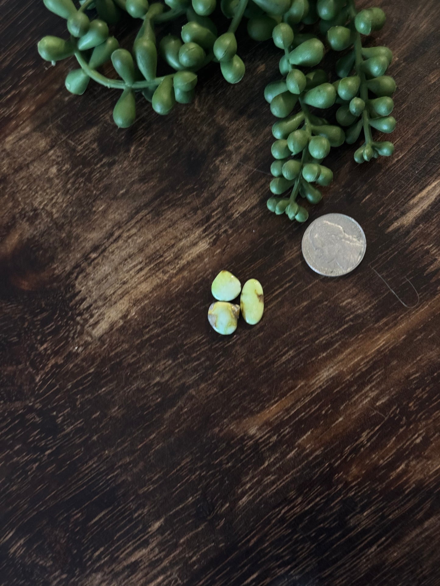 Palomino Variscite Cabs