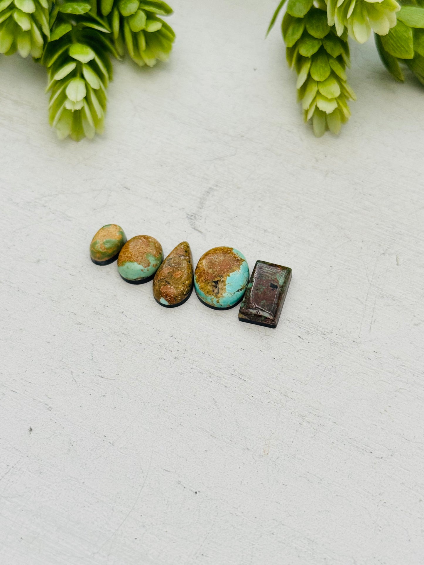 Evans Turquoise Cabs