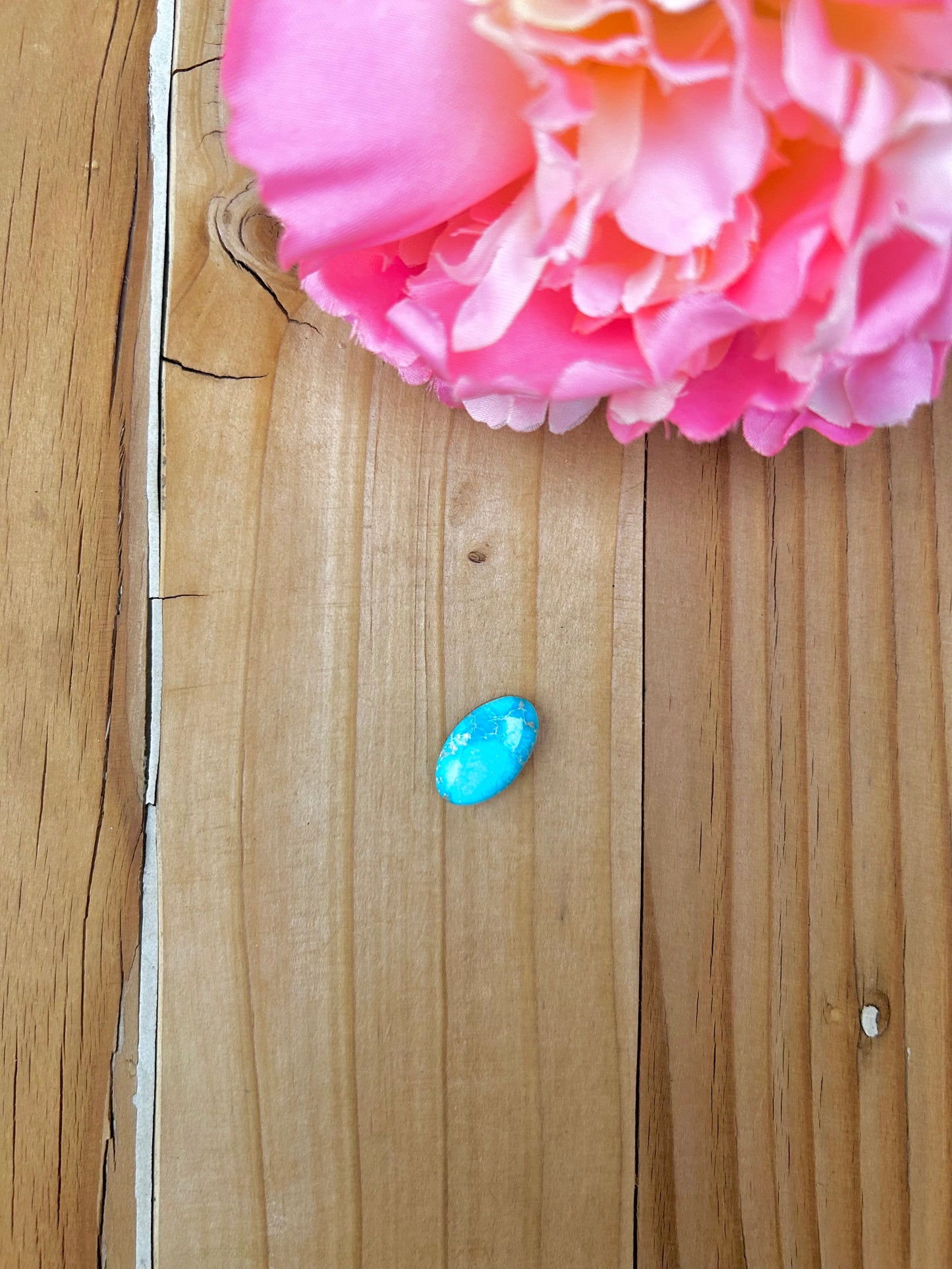 Blue Bird Turquoise Cabs