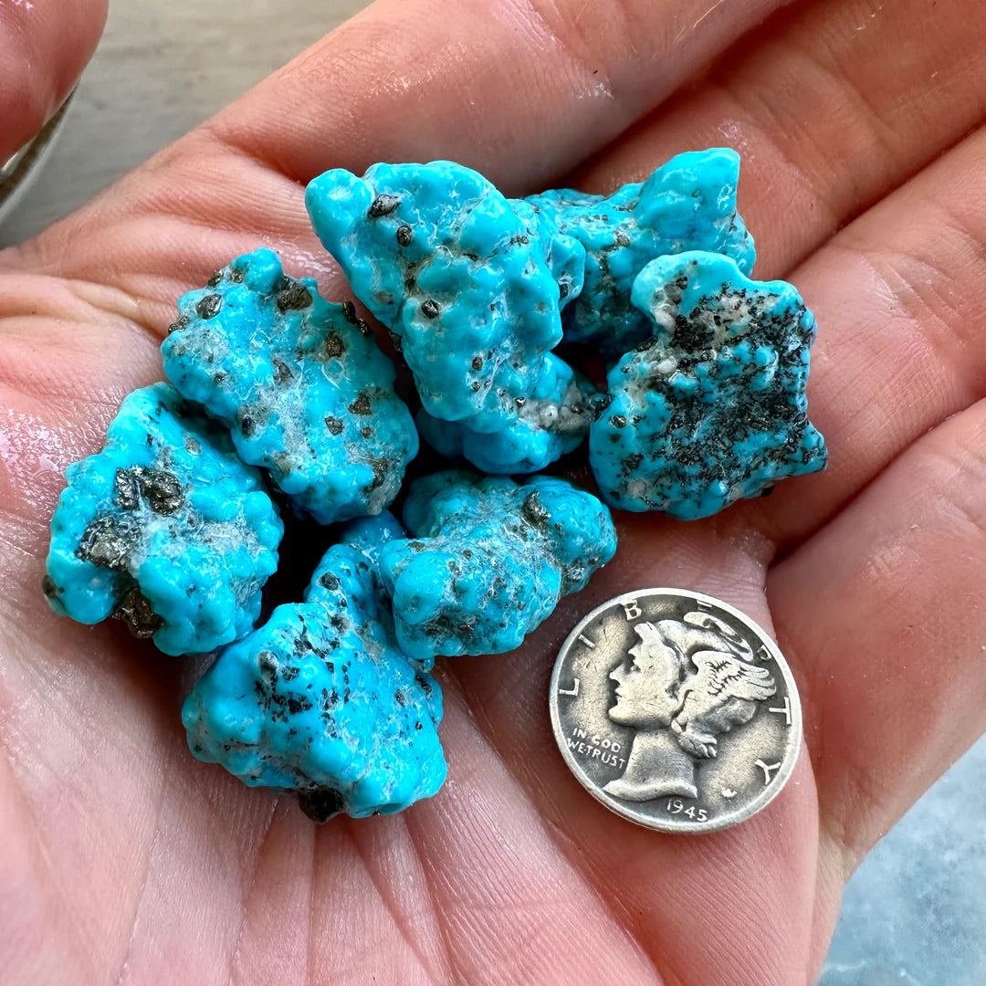 Blue Bird Turquoise Cabs