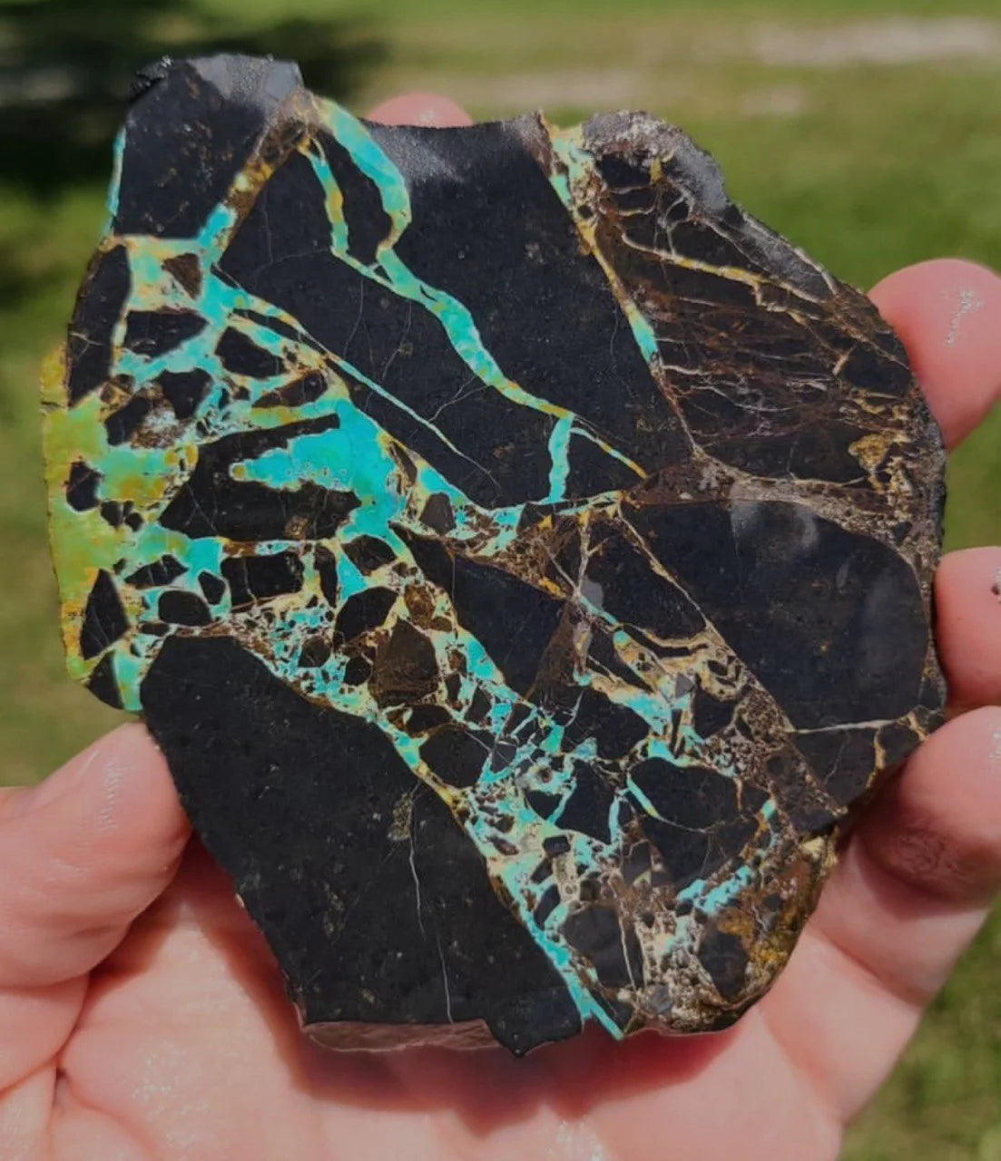 Black Jack Turquoise