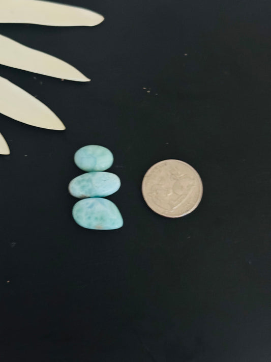 Larimar Cabs