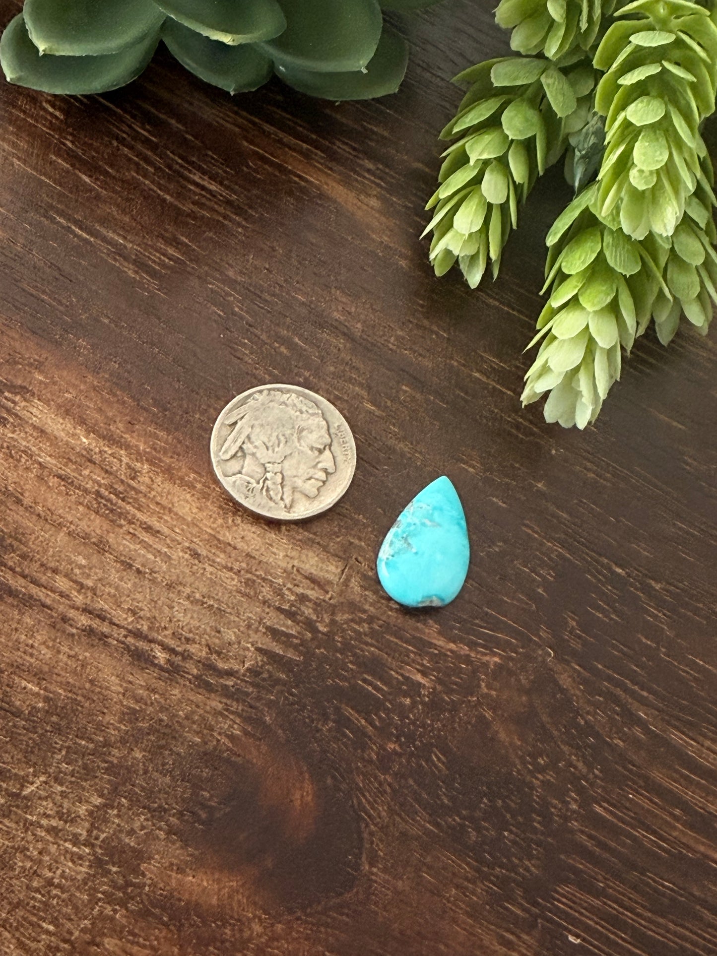 Blue Bird Turquoise Cab