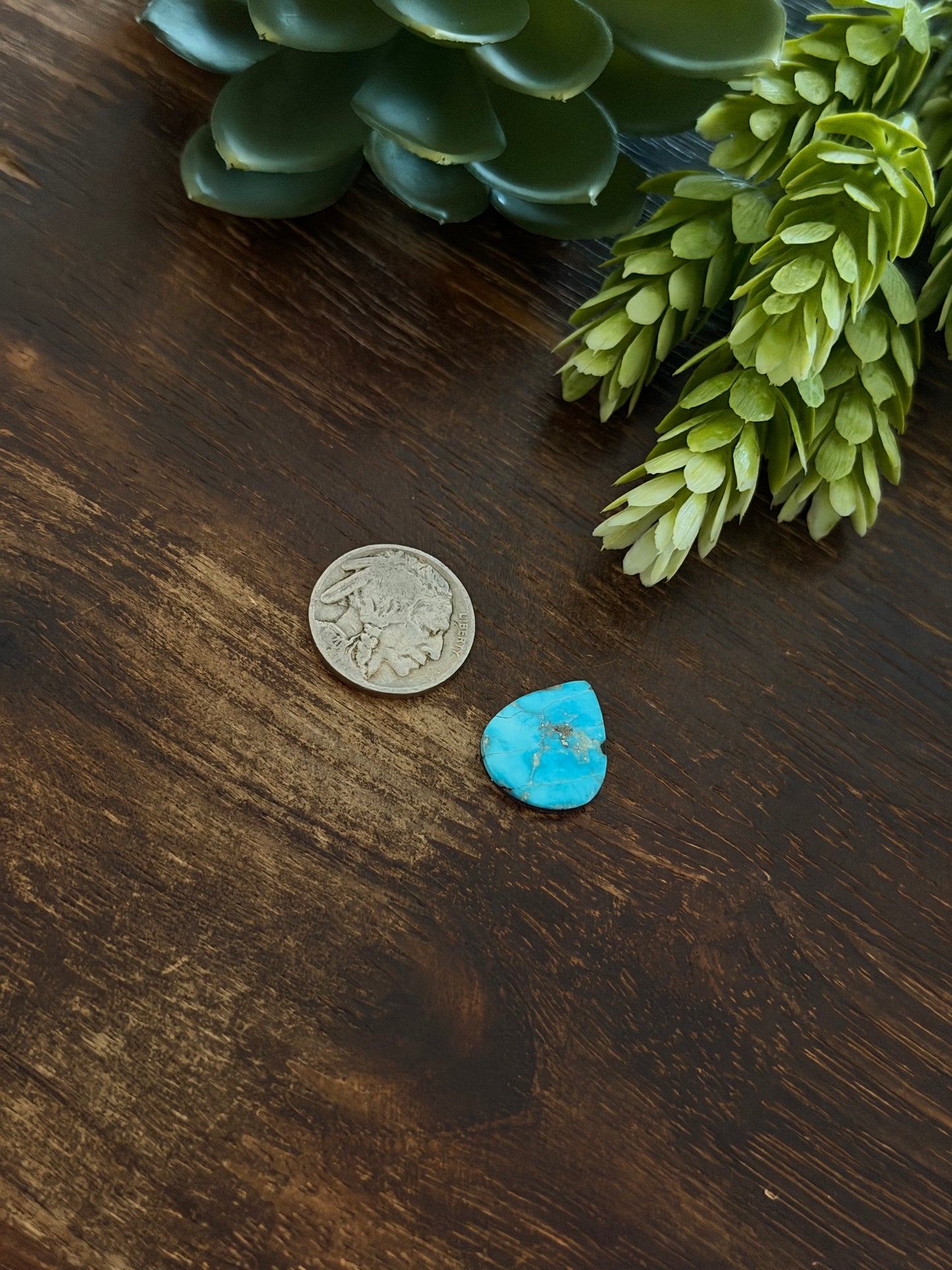 Blue Bird Turquoise Cab