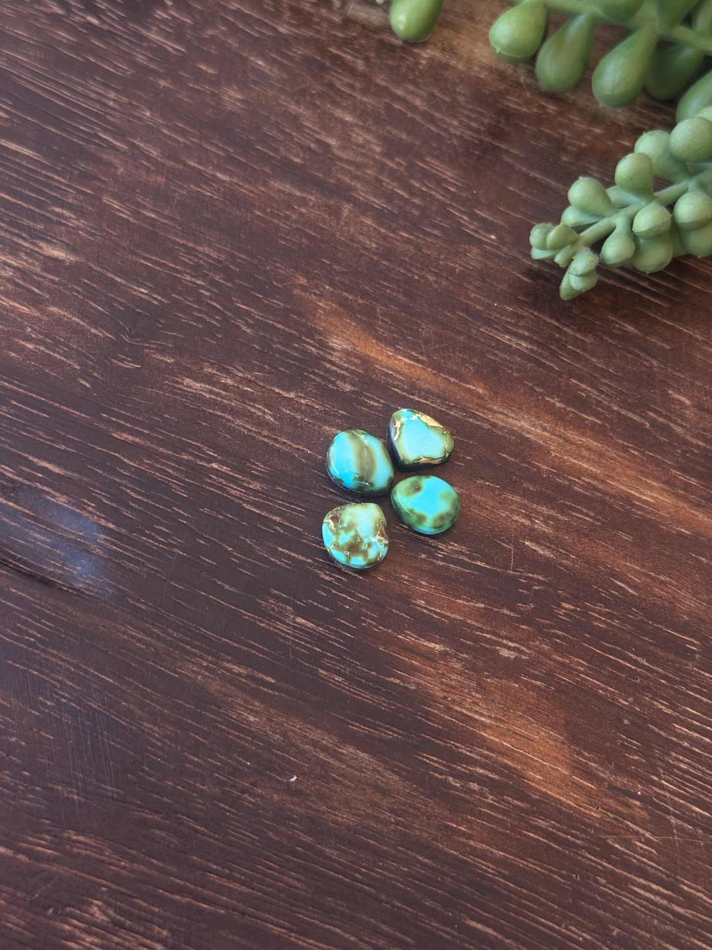 Sonoran Mountain Turquoise Cabs