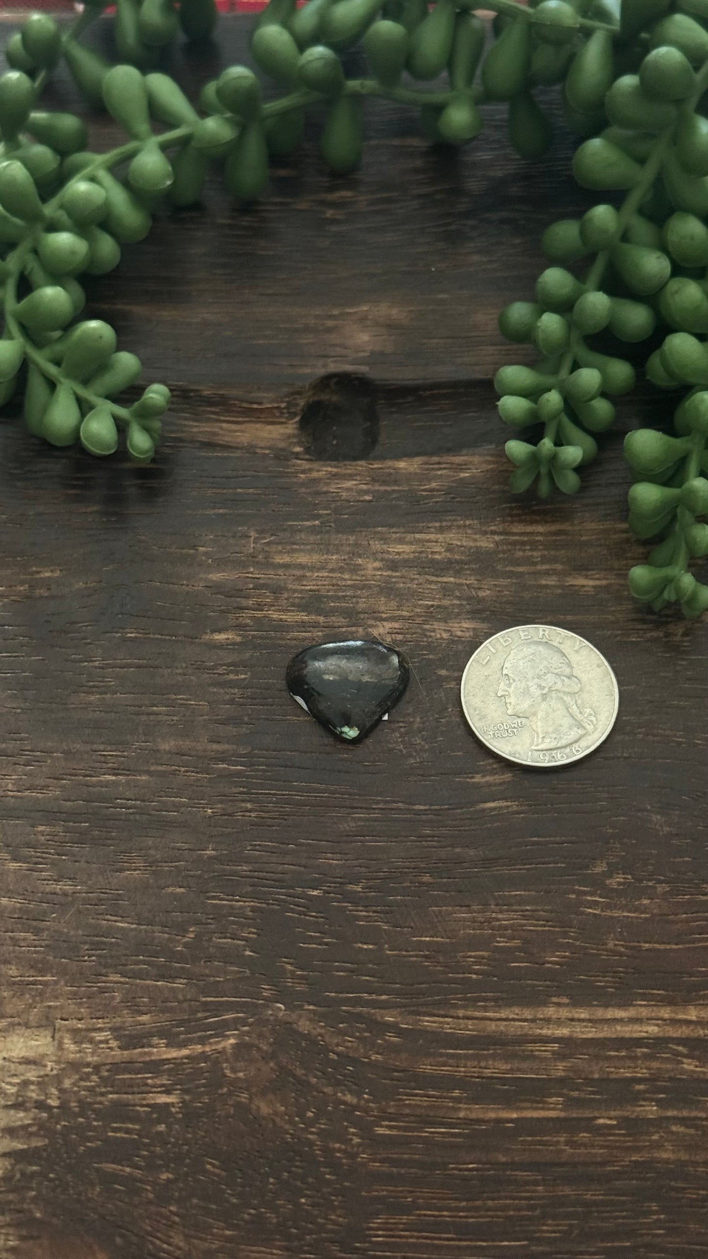 Black Jack Turquoise Cab