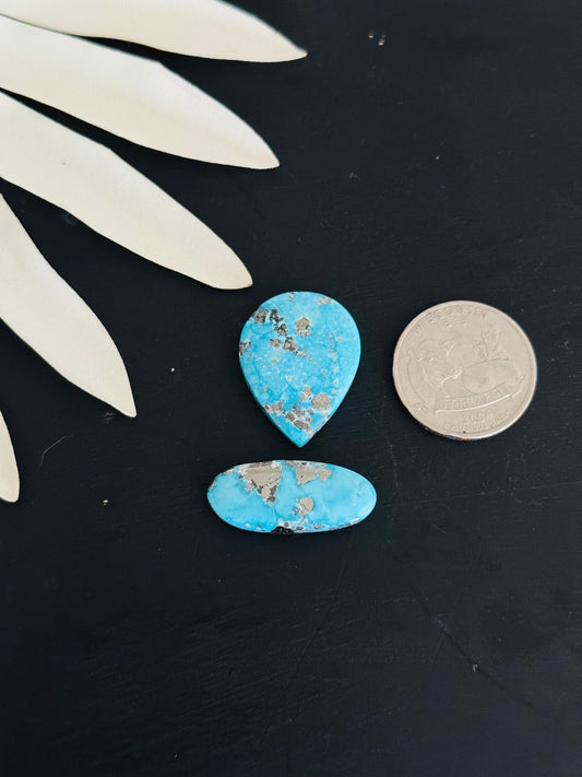 Blue Bird Turquoise Cabs