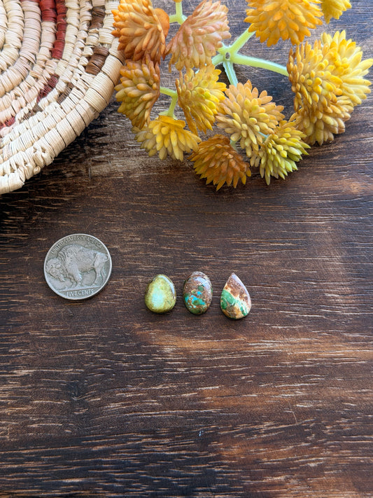 Sonoran Mountain Turquoise Cabs