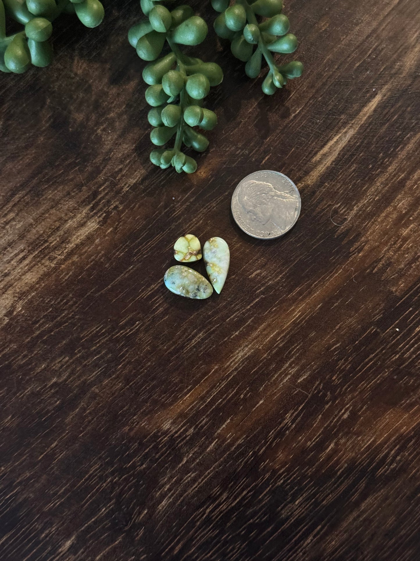 Palomino Variscite Cabs