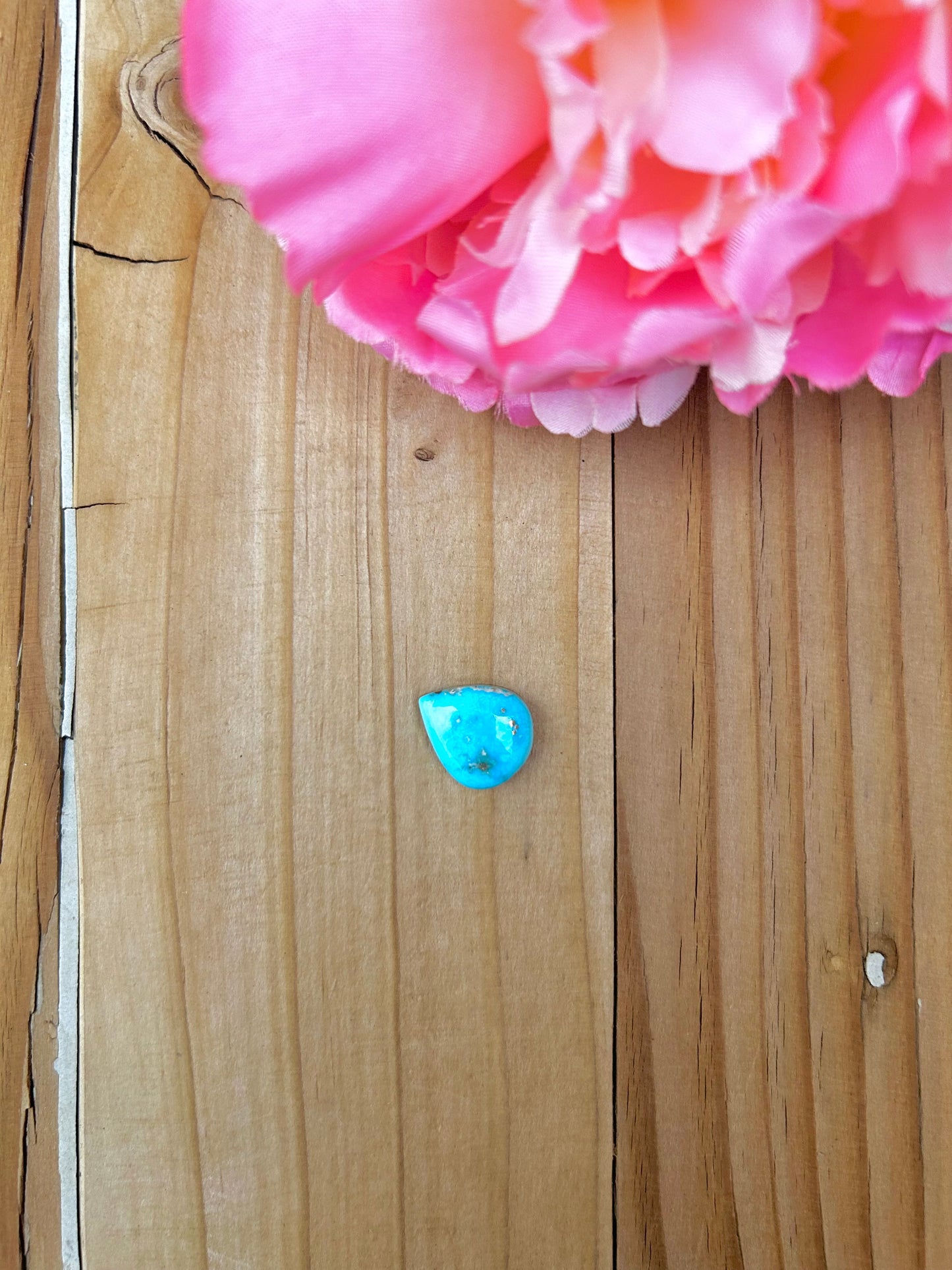 Blue Bird Turquoise Cabs