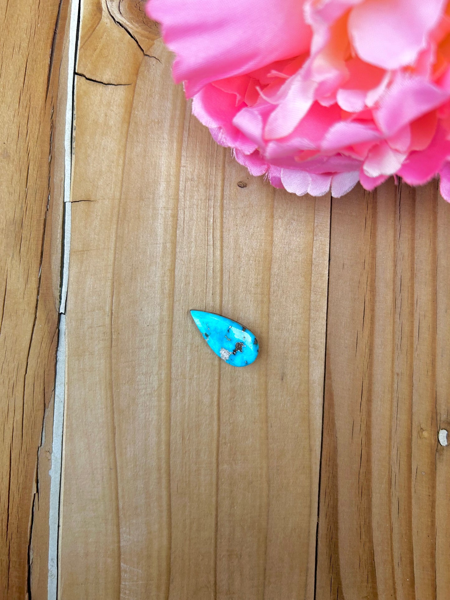 Blue Bird Turquoise Cabs