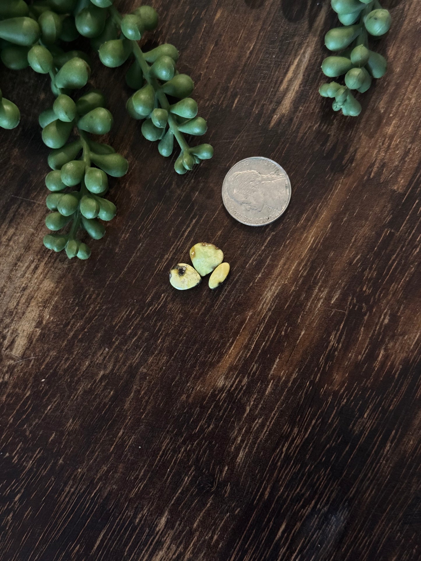 Palomino Variscite Cabs