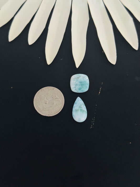 Larimar Cabs