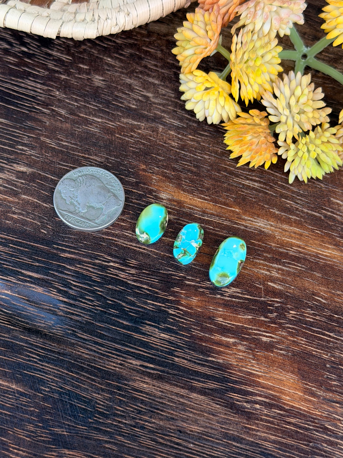 Sonoran Mountain Turquoise Cabs