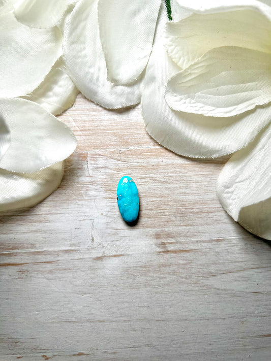 Blue Ridge Turquoise Cab
