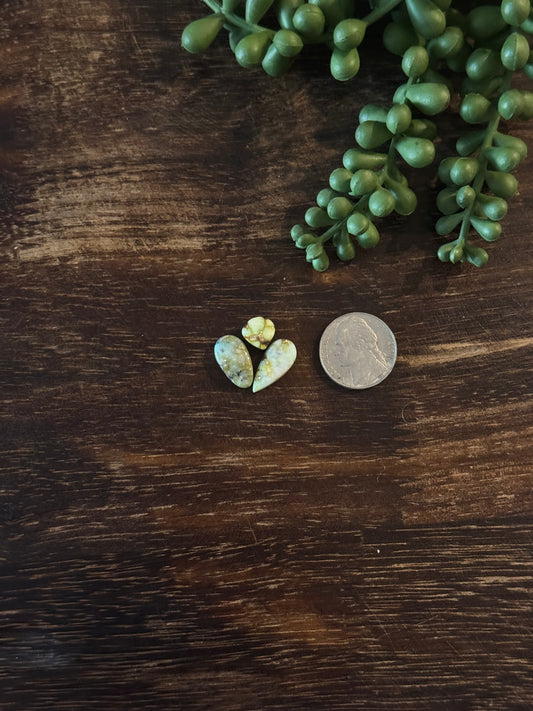 Palomino Variscite Cabs